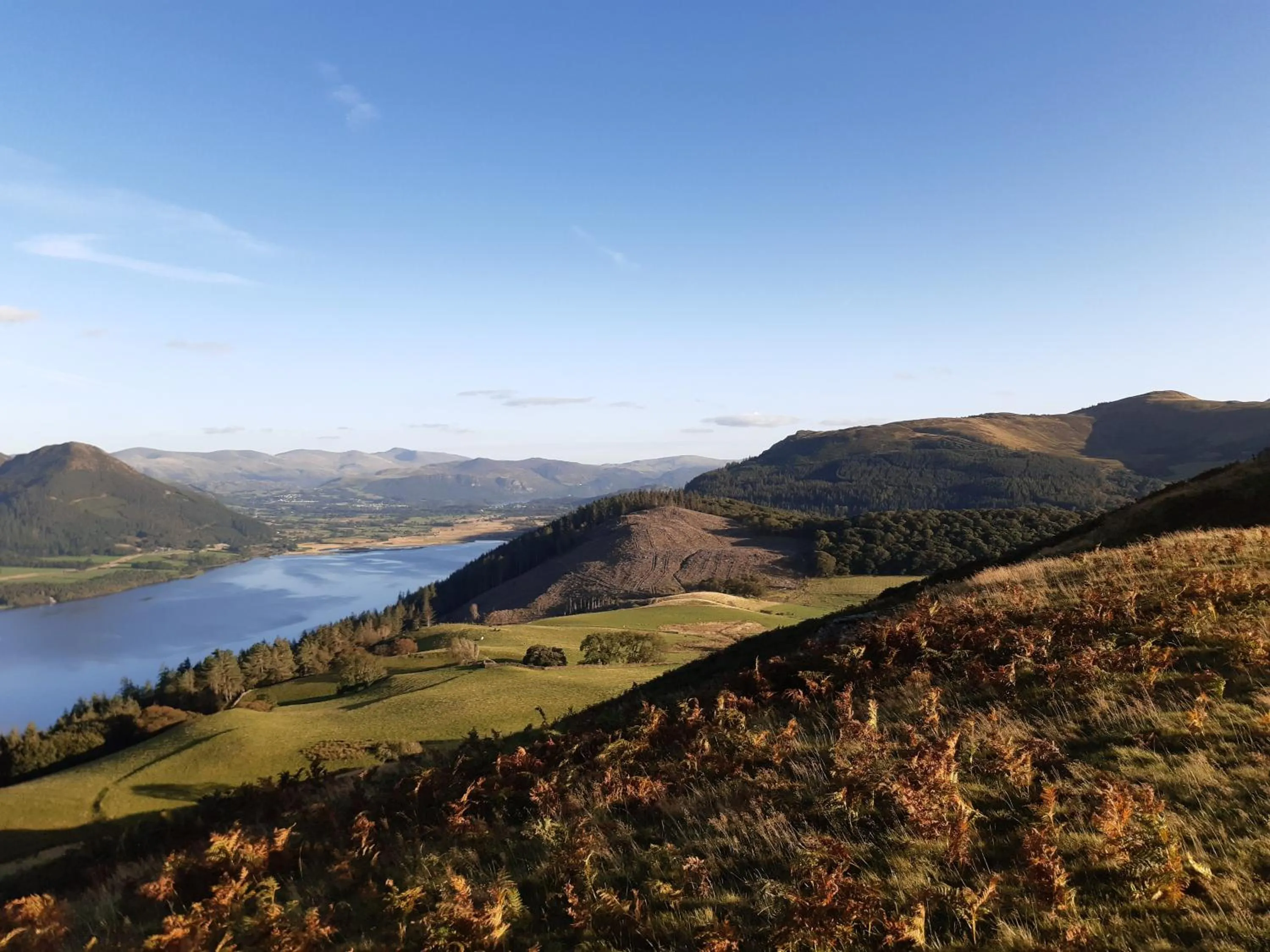 Natural landscape in Lakeside Country Guest House