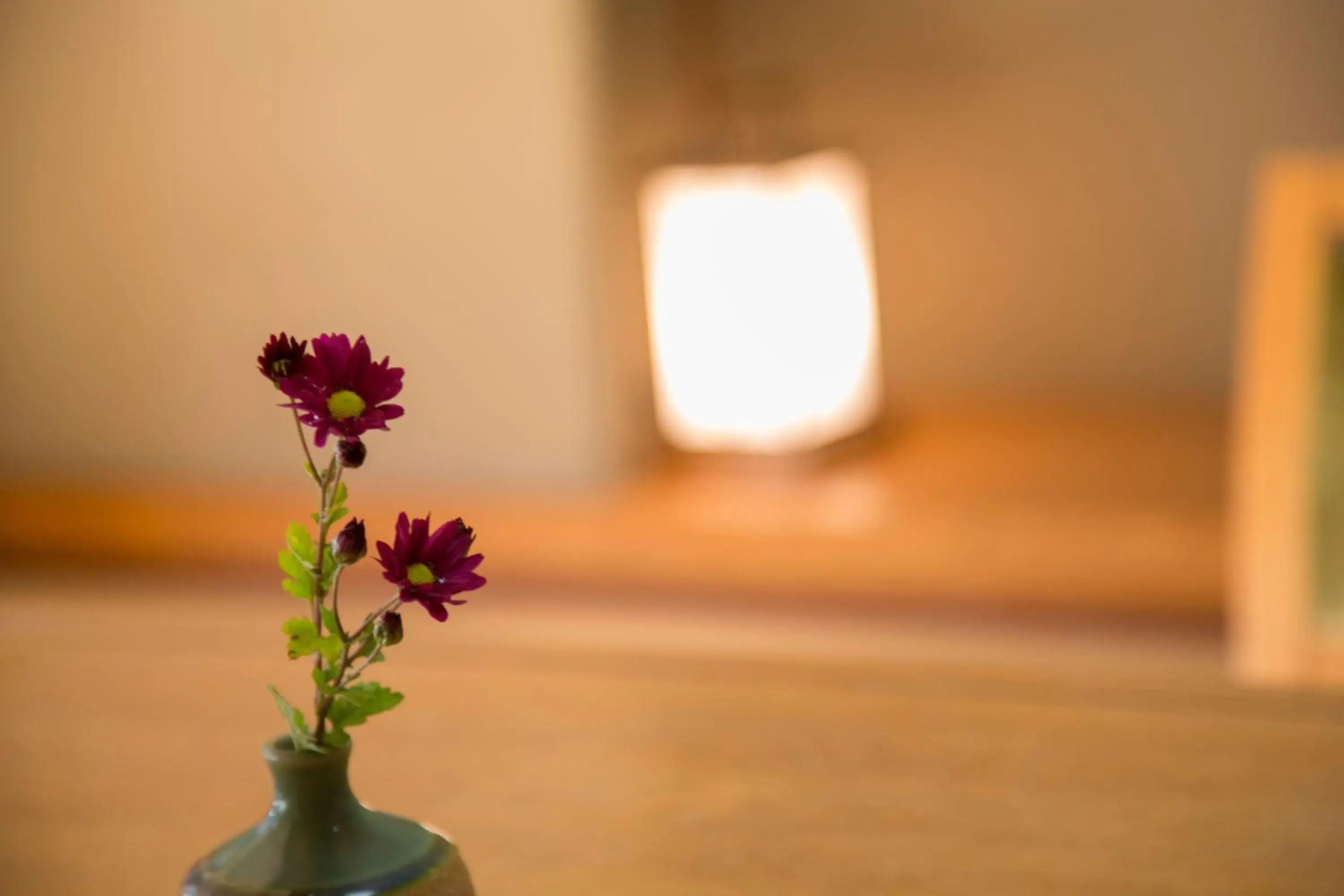 Superior Japanese-Style Room With River and Forest View - Non Smoking in Sansuikan Kawayu Midoriya Superior Japanese-Style Room With River and Forest View - Non Smoking in Sansuikan Kawayu Midoriya