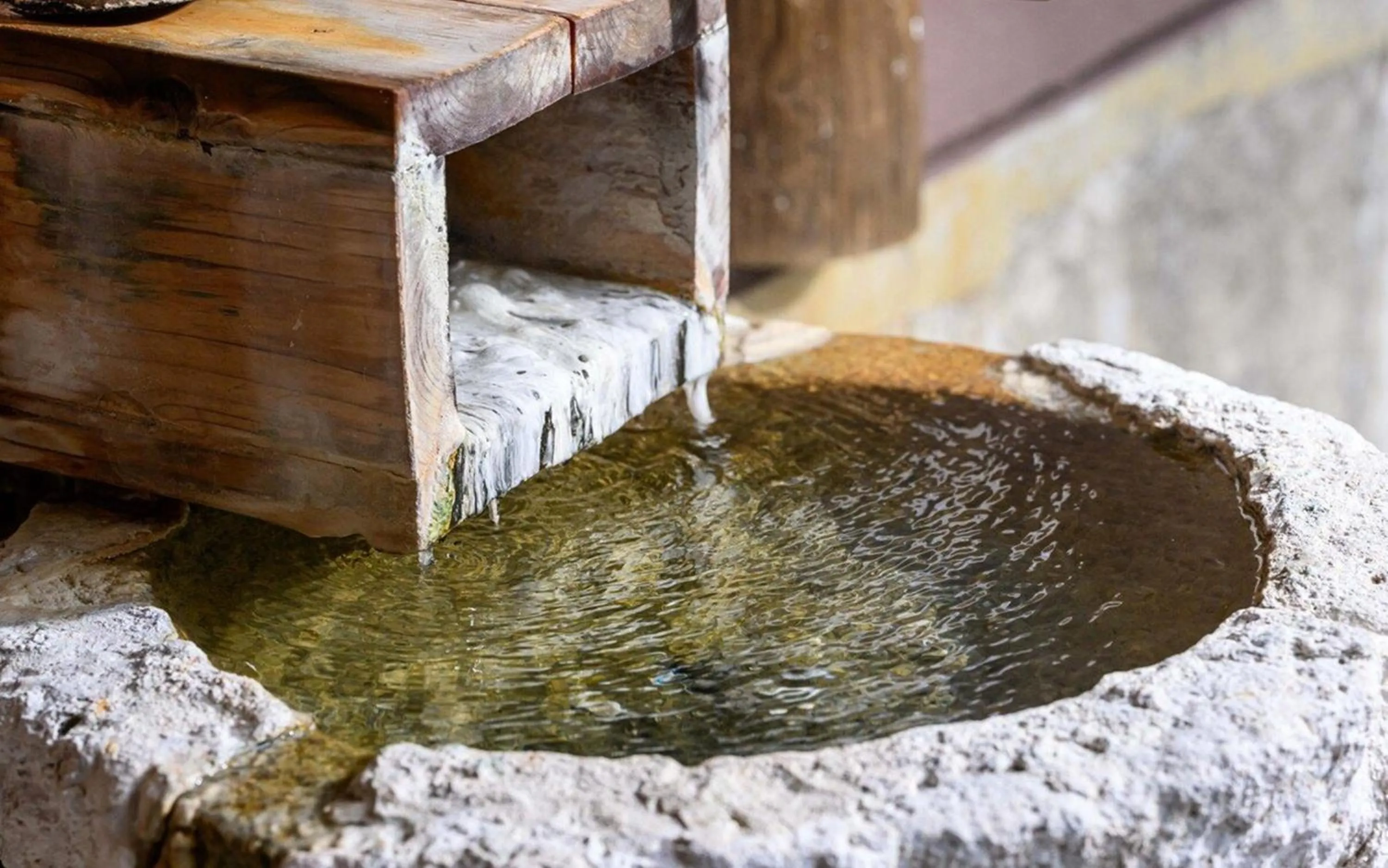 Area and facilities in Sansuikan Kawayu Midoriya