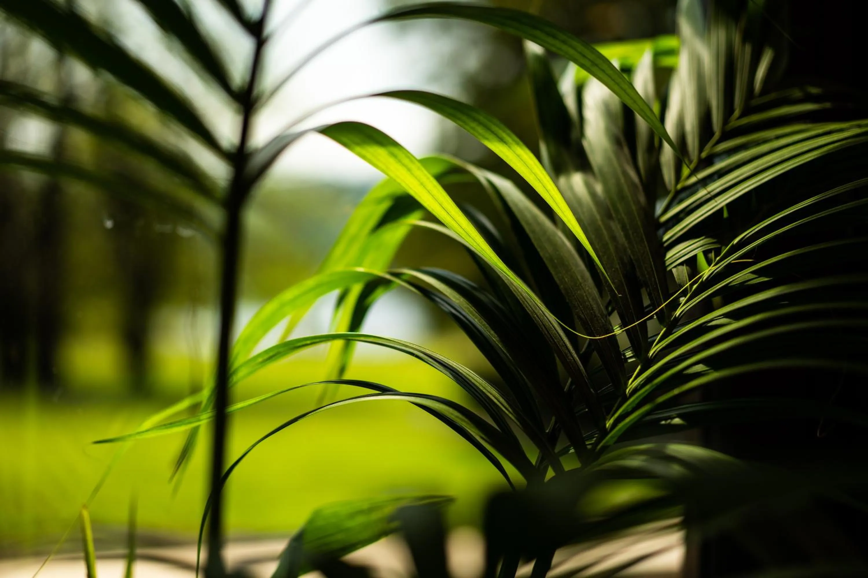 Armathwaite Hall Hotel & Spa