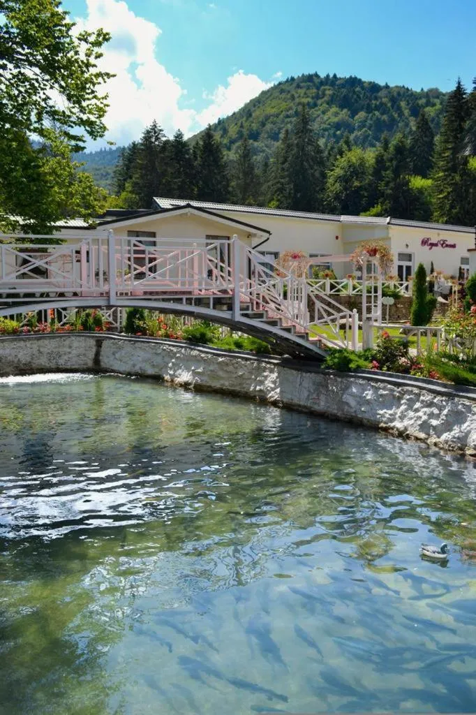 Pastravaria popas sambata