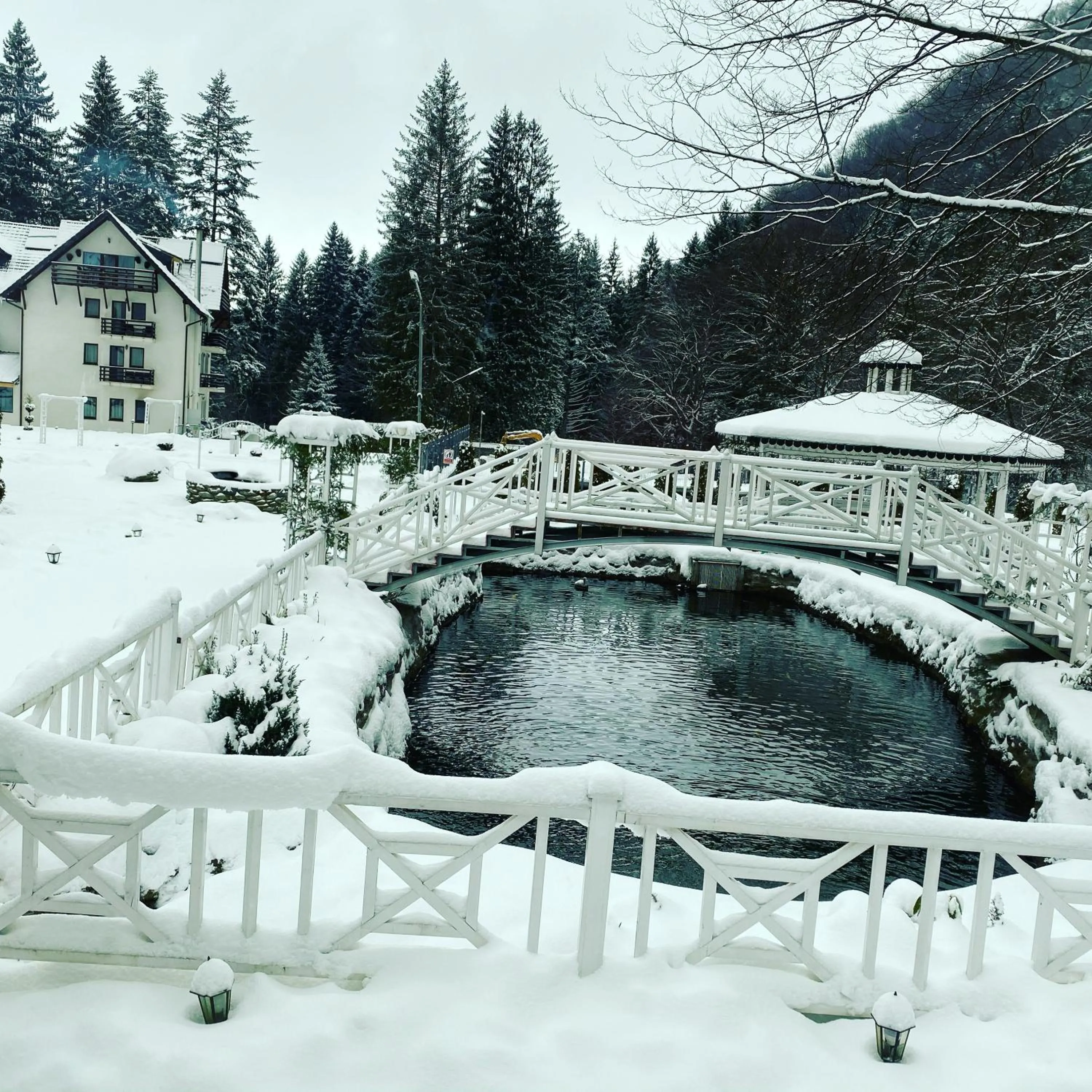 Pastravaria popas sambata