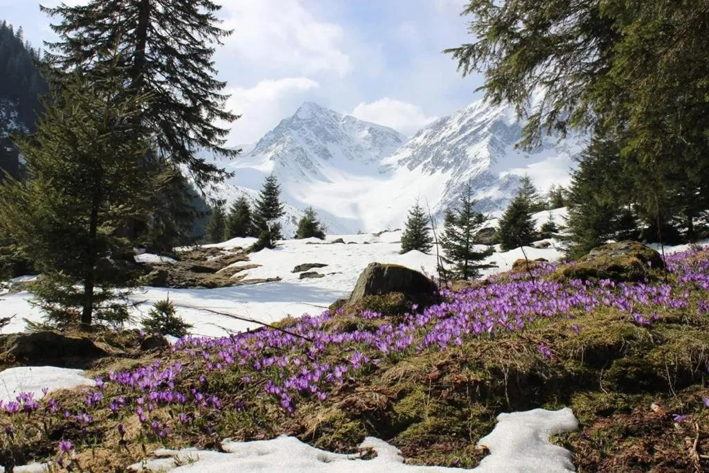 Pastravaria popas sambata