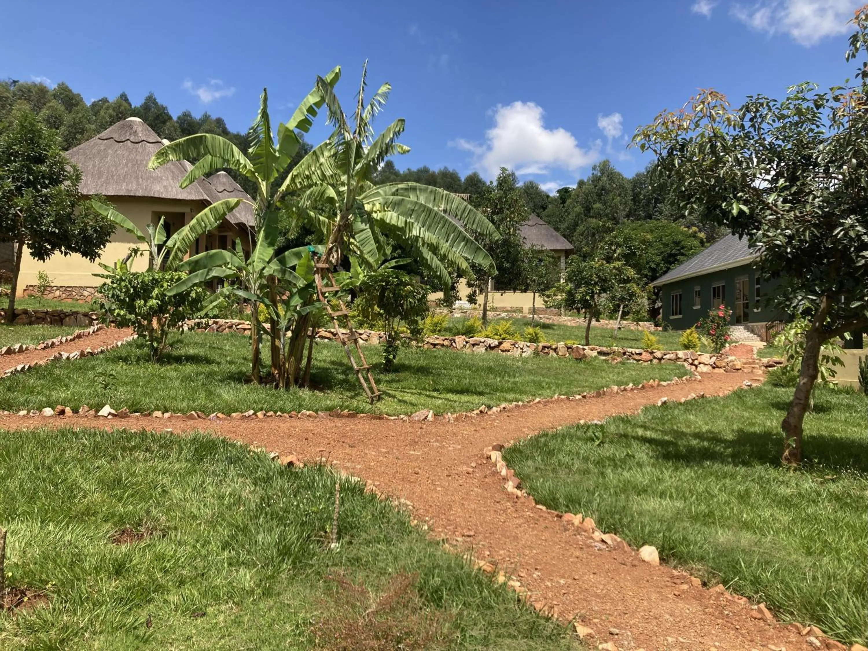 Property building in Stevalyn's Ridge View Lodge