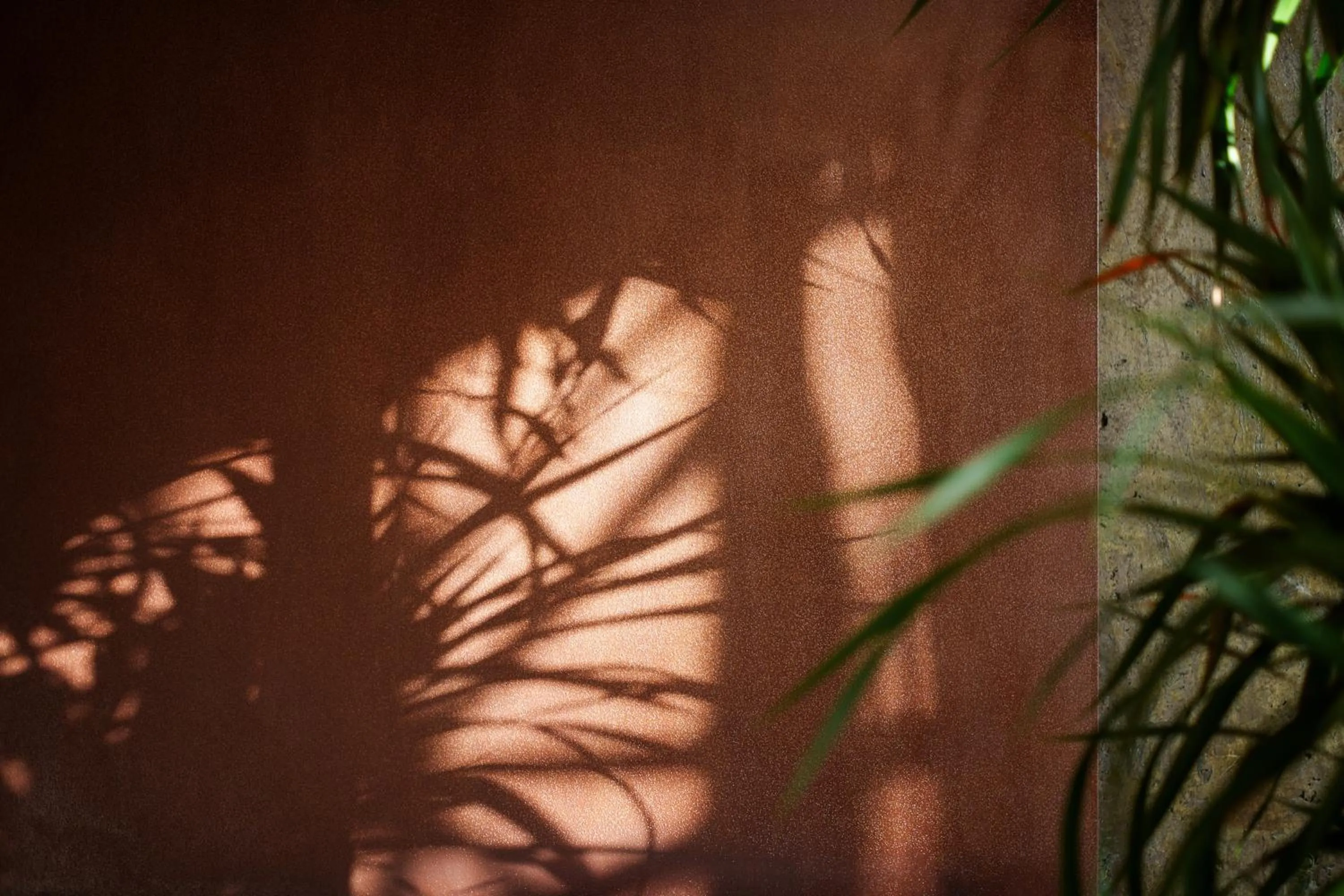 Facade/entrance in Shanghai T Plus Hotel Residence