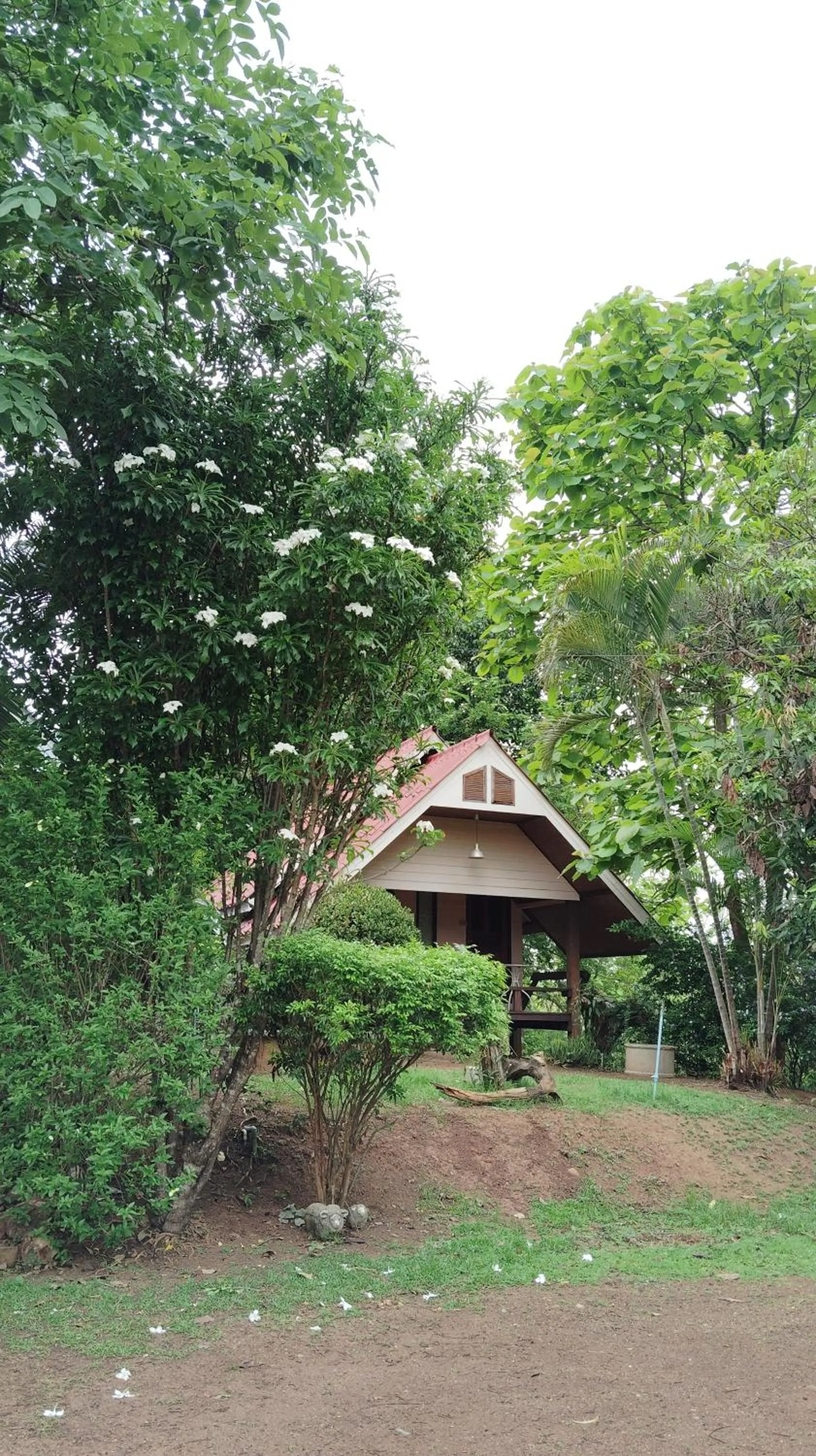 Kiniman Home