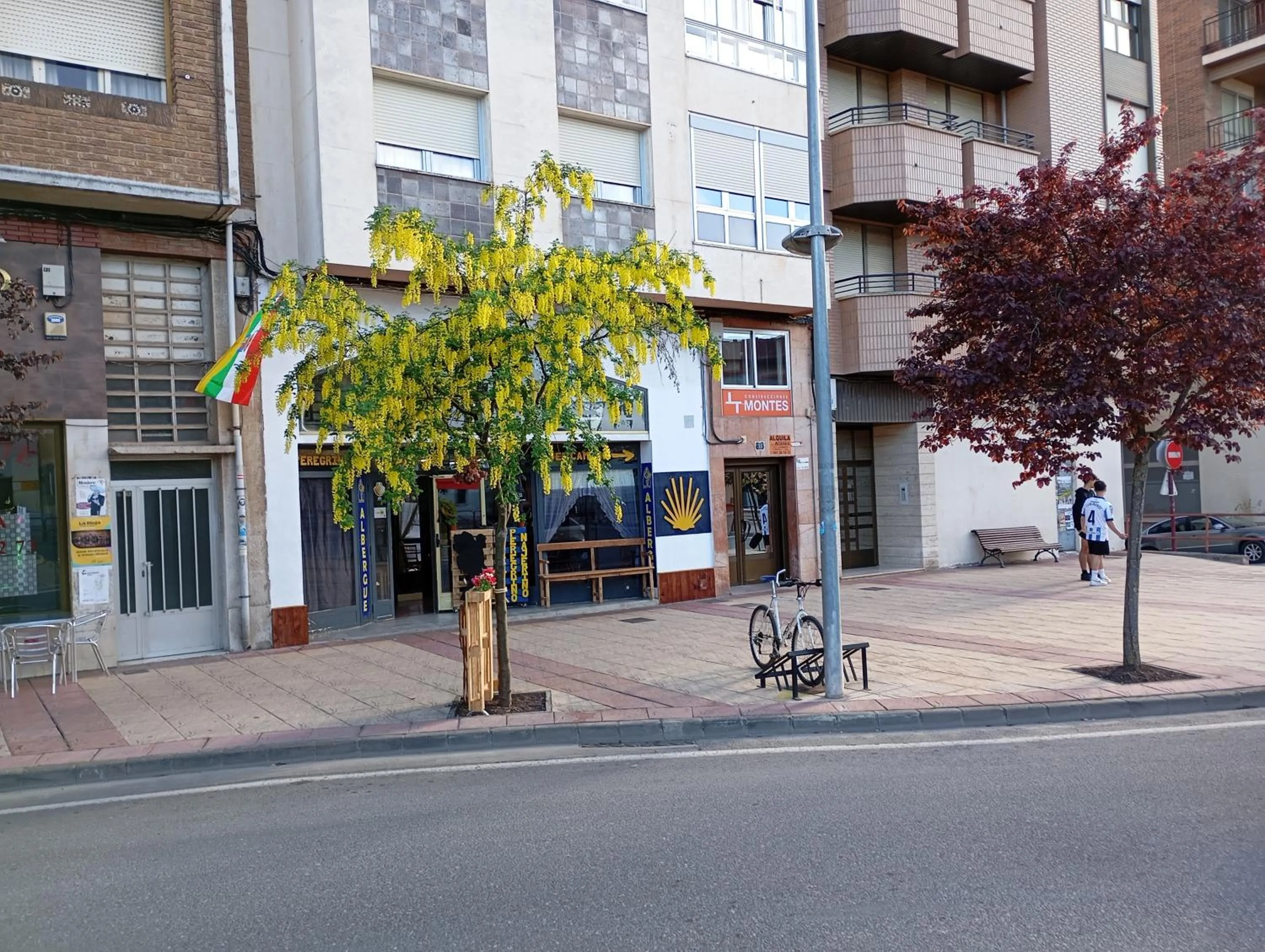 Street view in El Peregrino Najerino