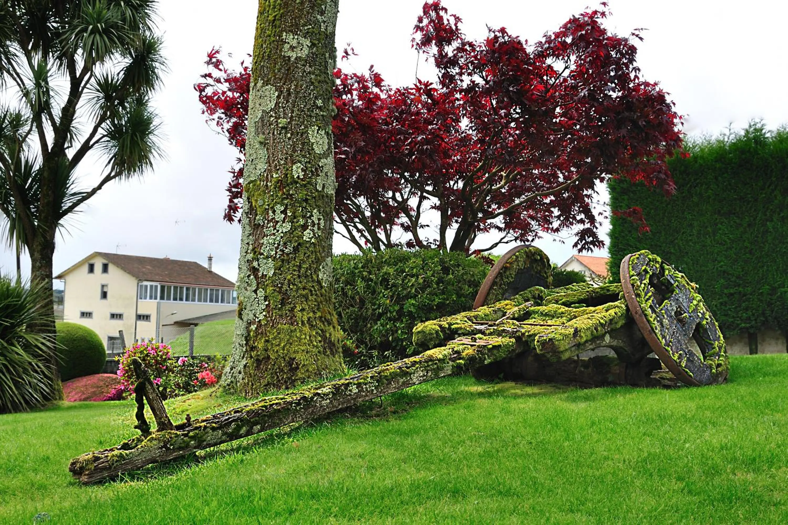 Garden in Hotel Castro
