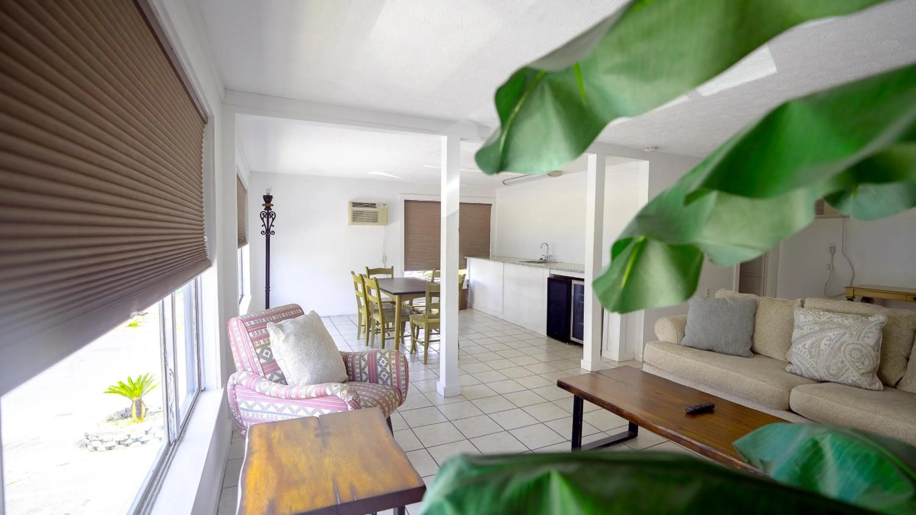 TV and multimedia in Banana Peel Lodge