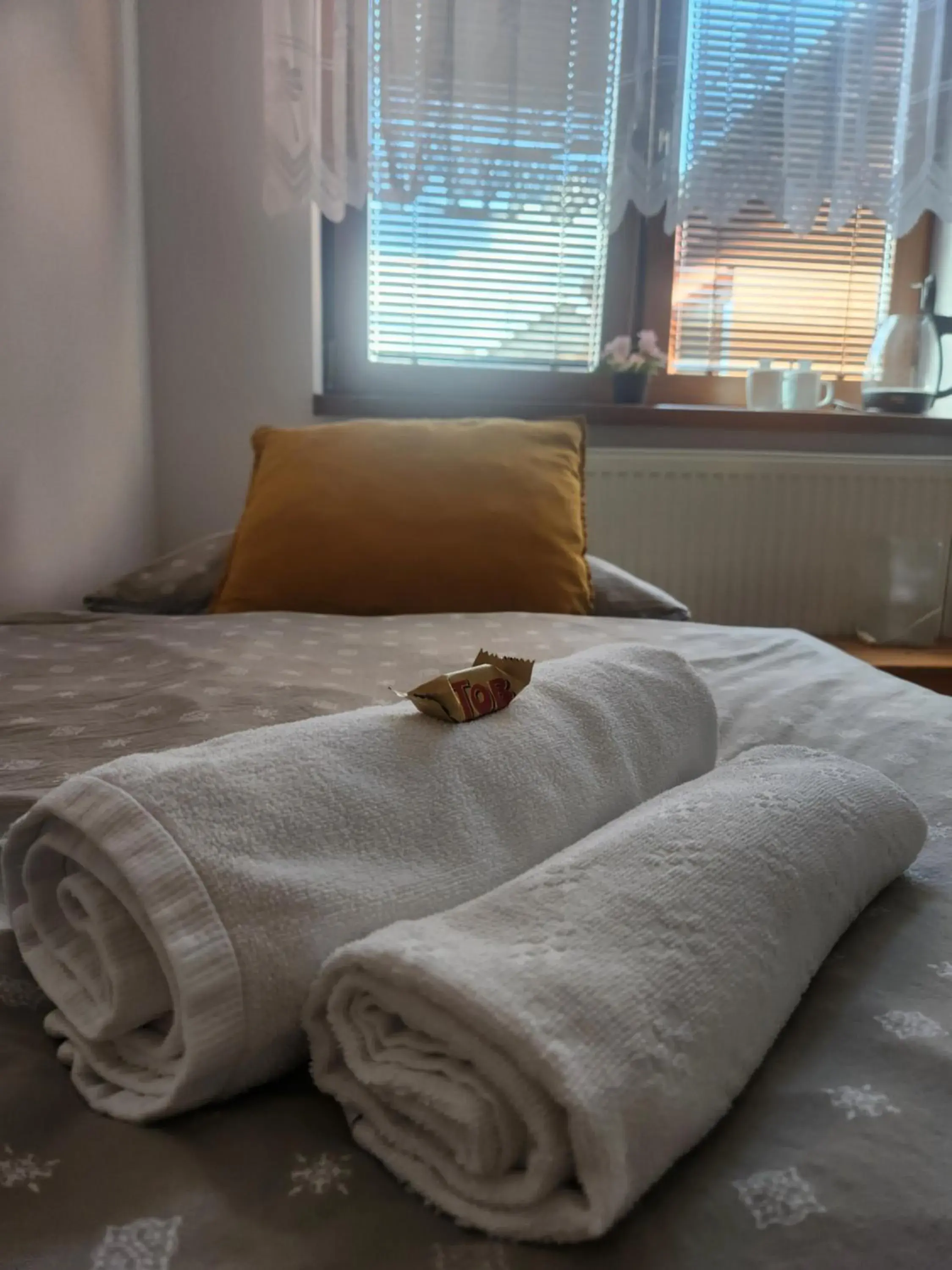 Standard Twin Room in Radio Hotel Bratislava Standard Twin Room in Radio Hotel Bratislava