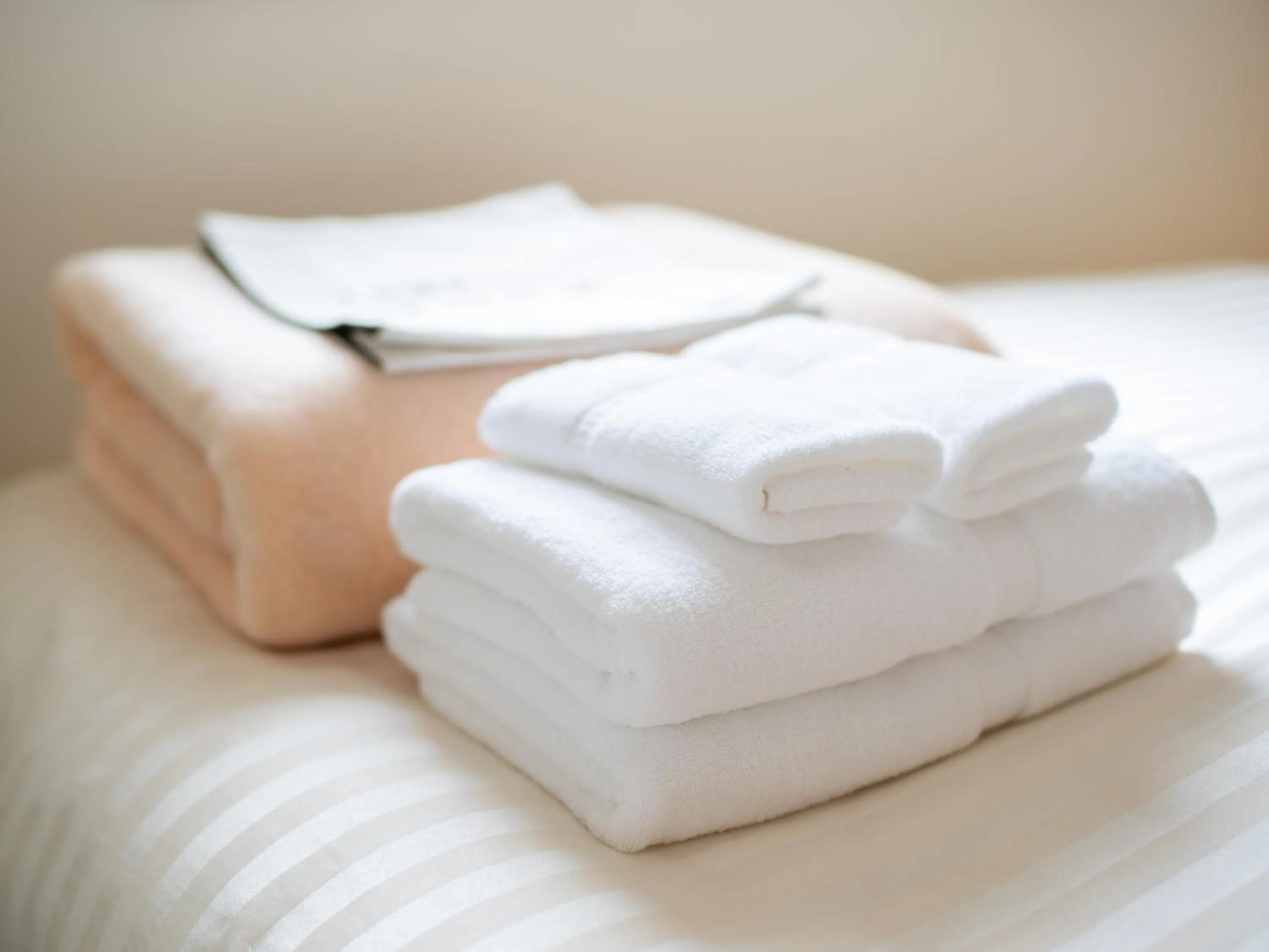 Super Hotel Sapporo Susukino