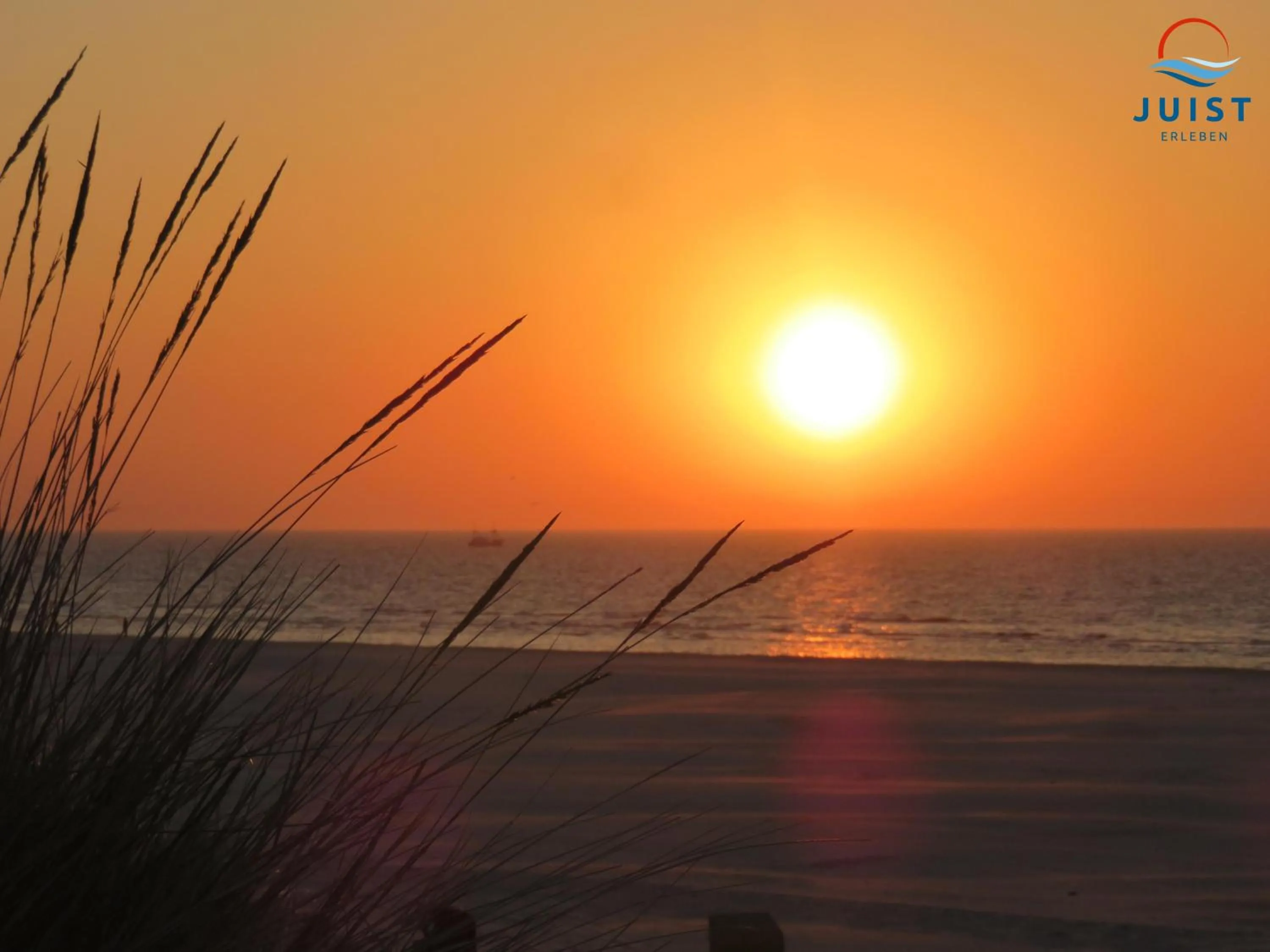 Beach in Haus Seerose 244 - Watt & Dünenblick