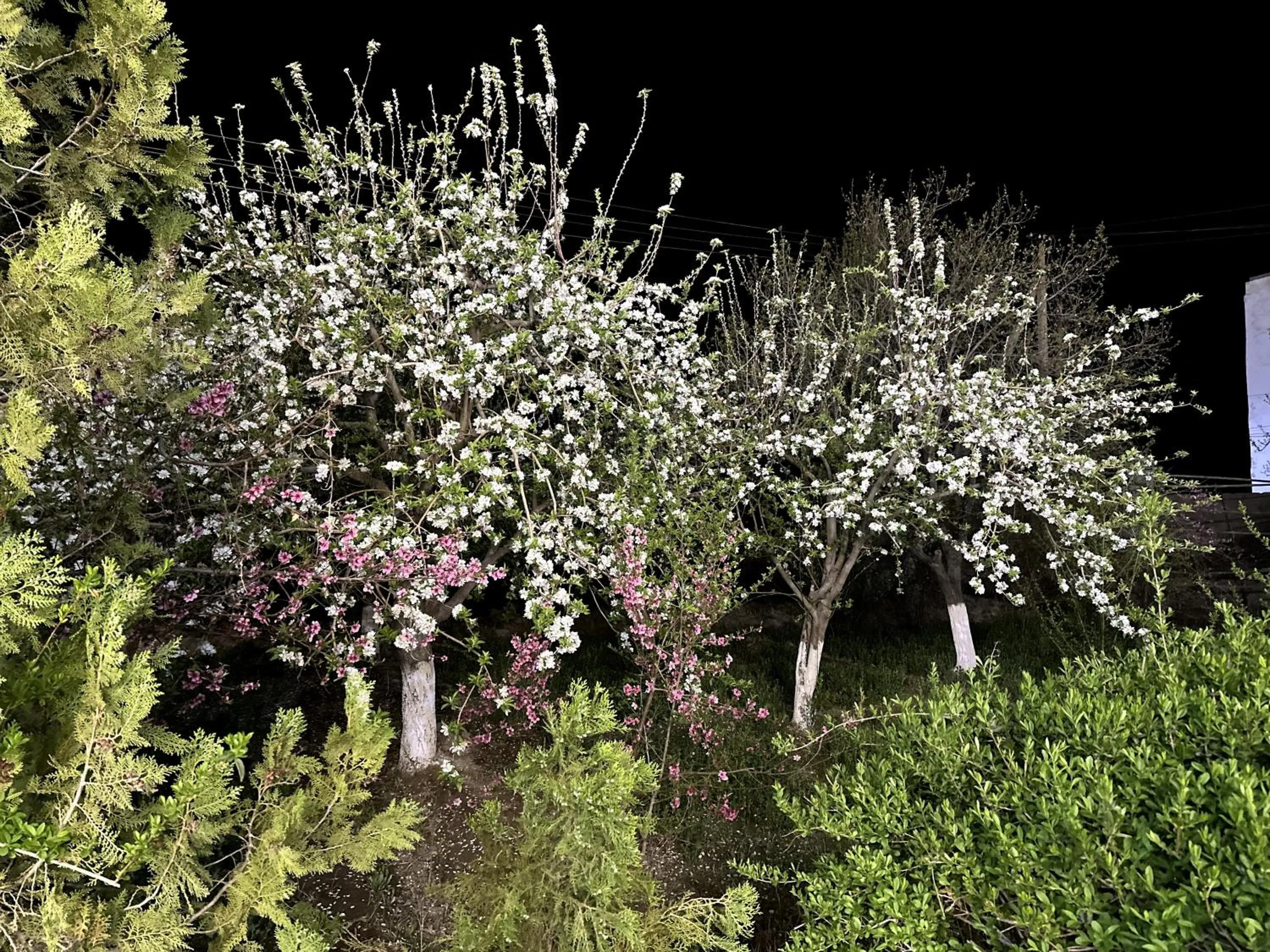 Natural landscape in Qibla Tozabog