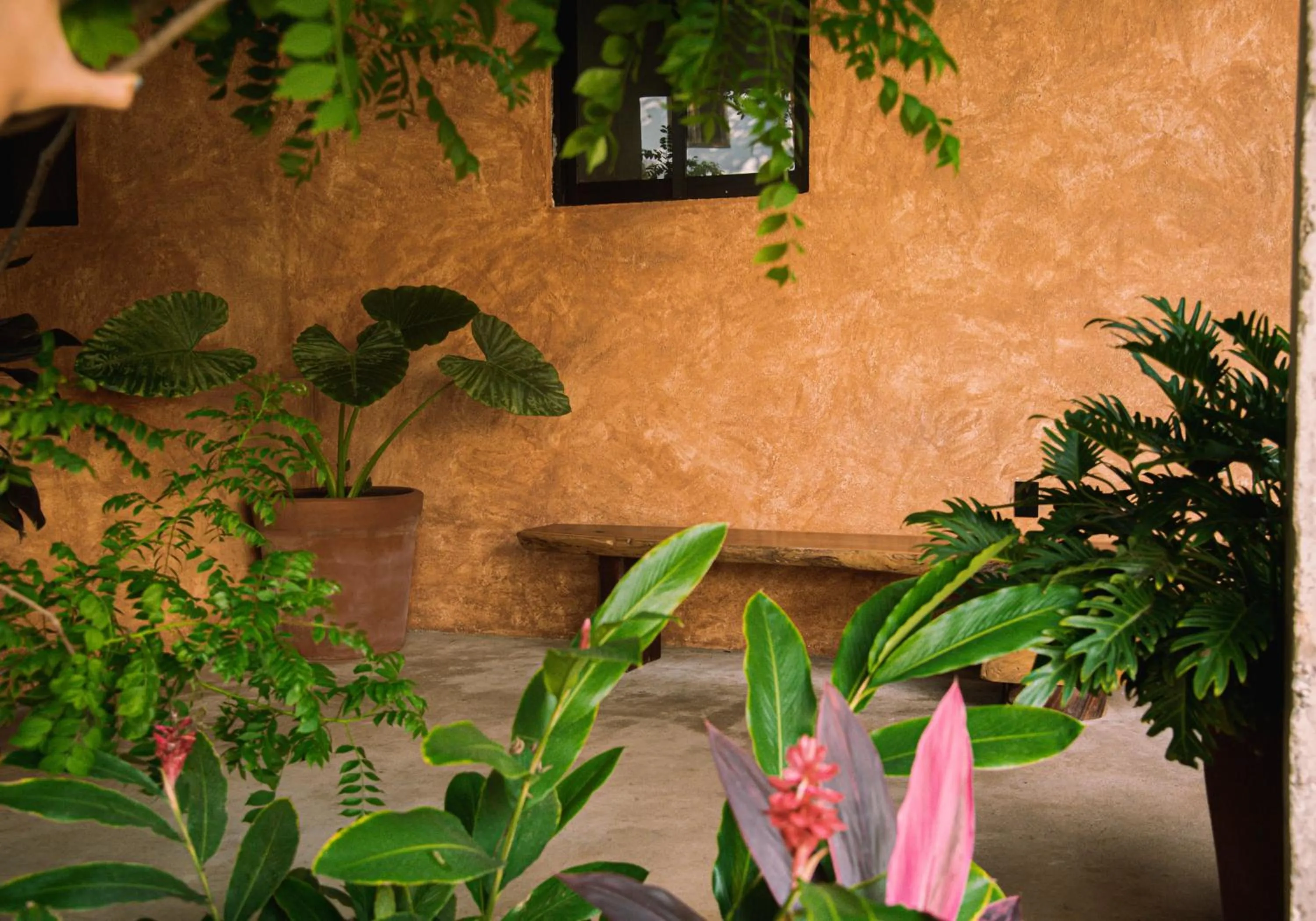 Area and facilities in Casa Marisa