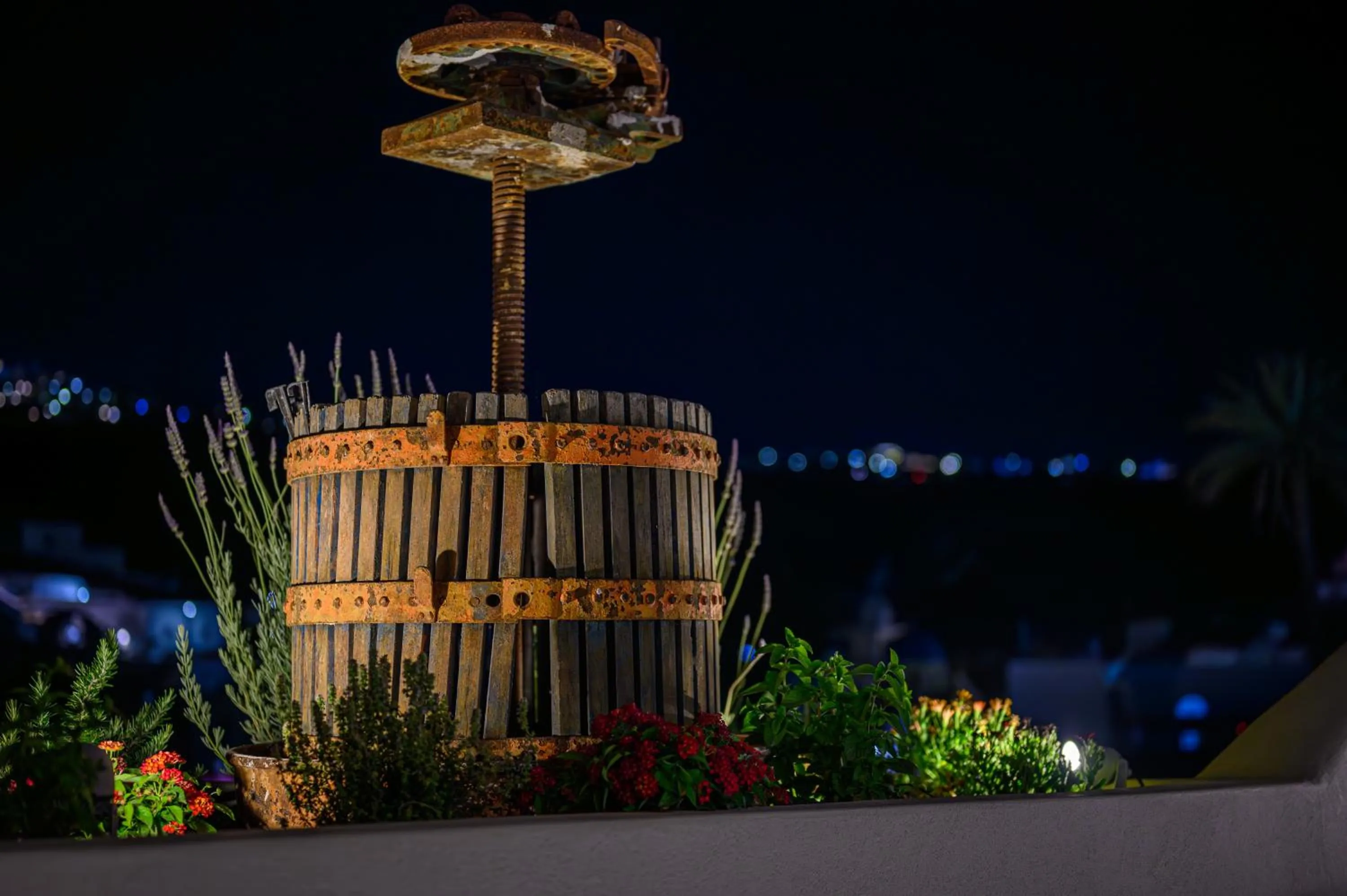 Garden in Galaria Serenity Suites