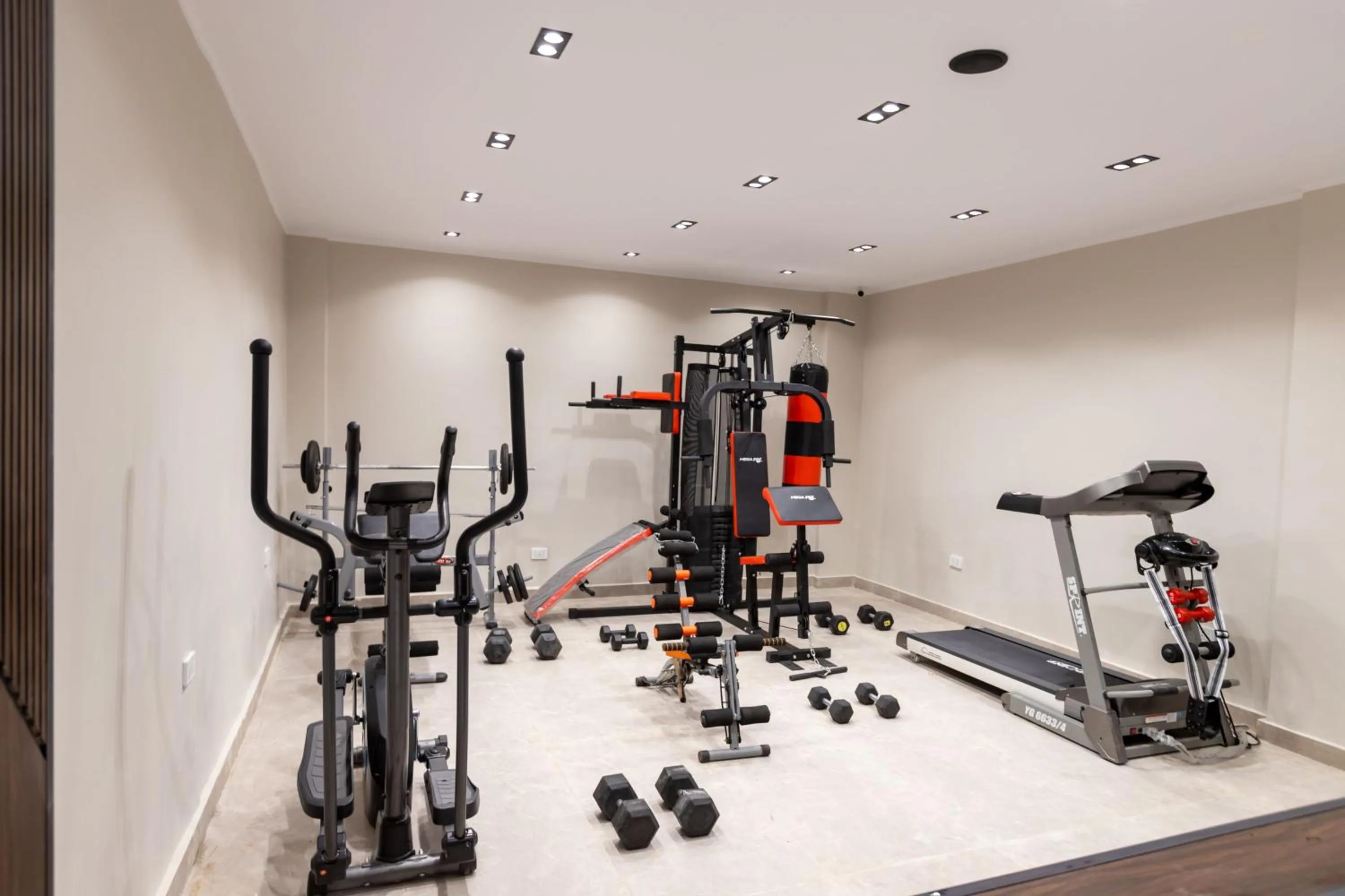 Fitness centre/facilities in Gaia Pyramids Hotel