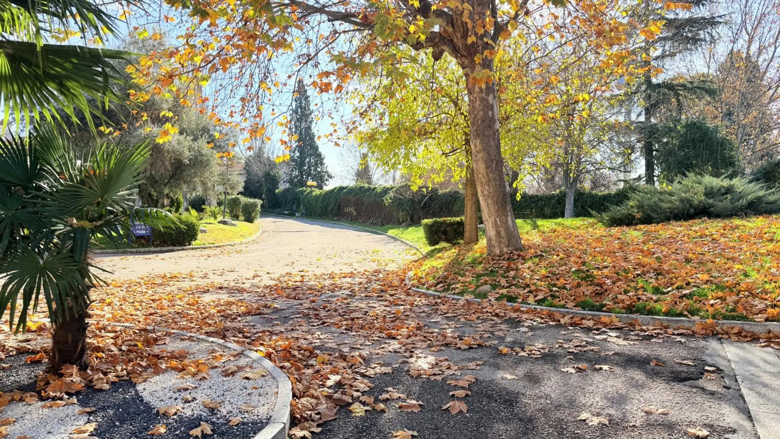 Property building in Gran Hotel Los Angeles Property building in Gran Hotel Los Angeles