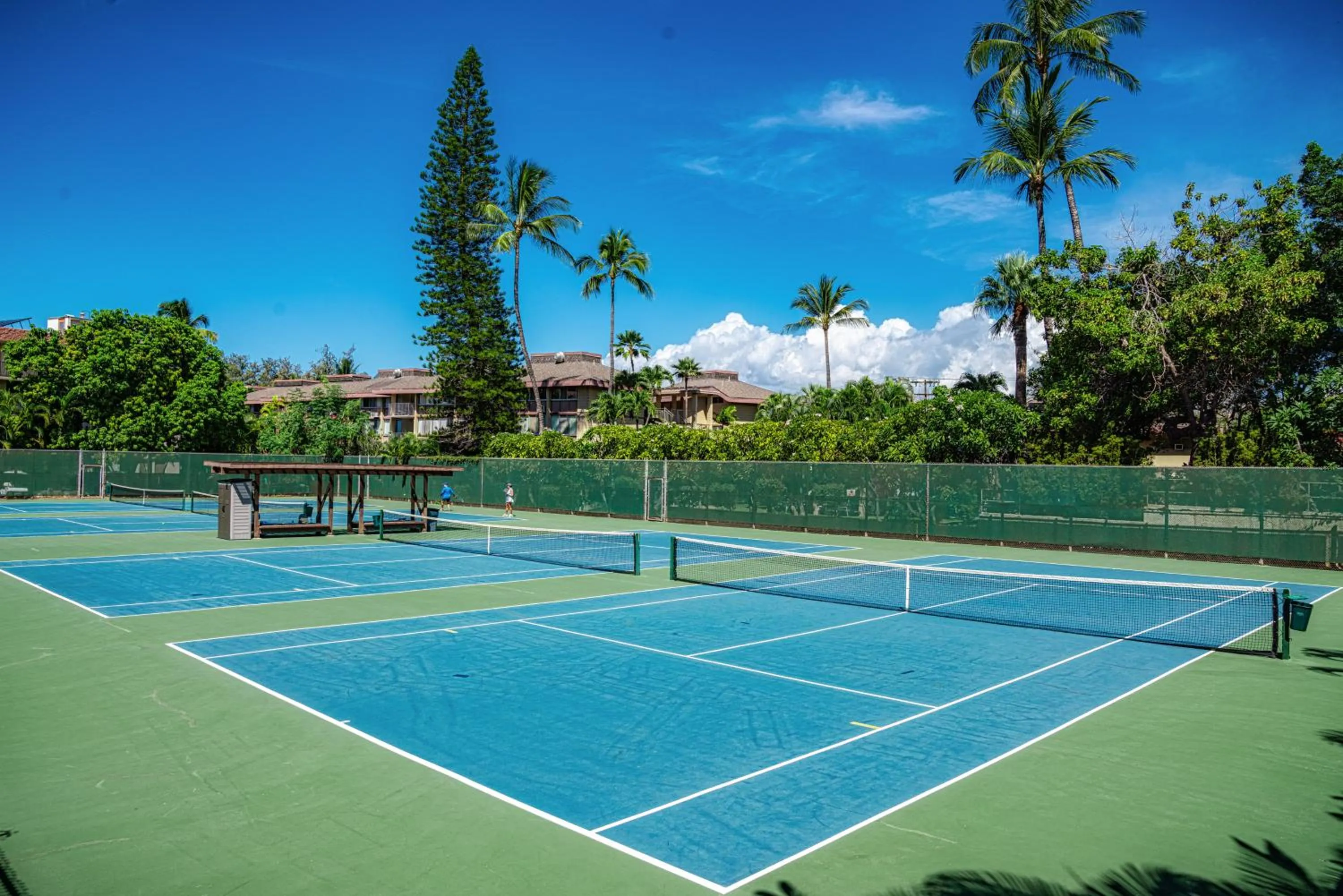 Other in Kamaole Sands