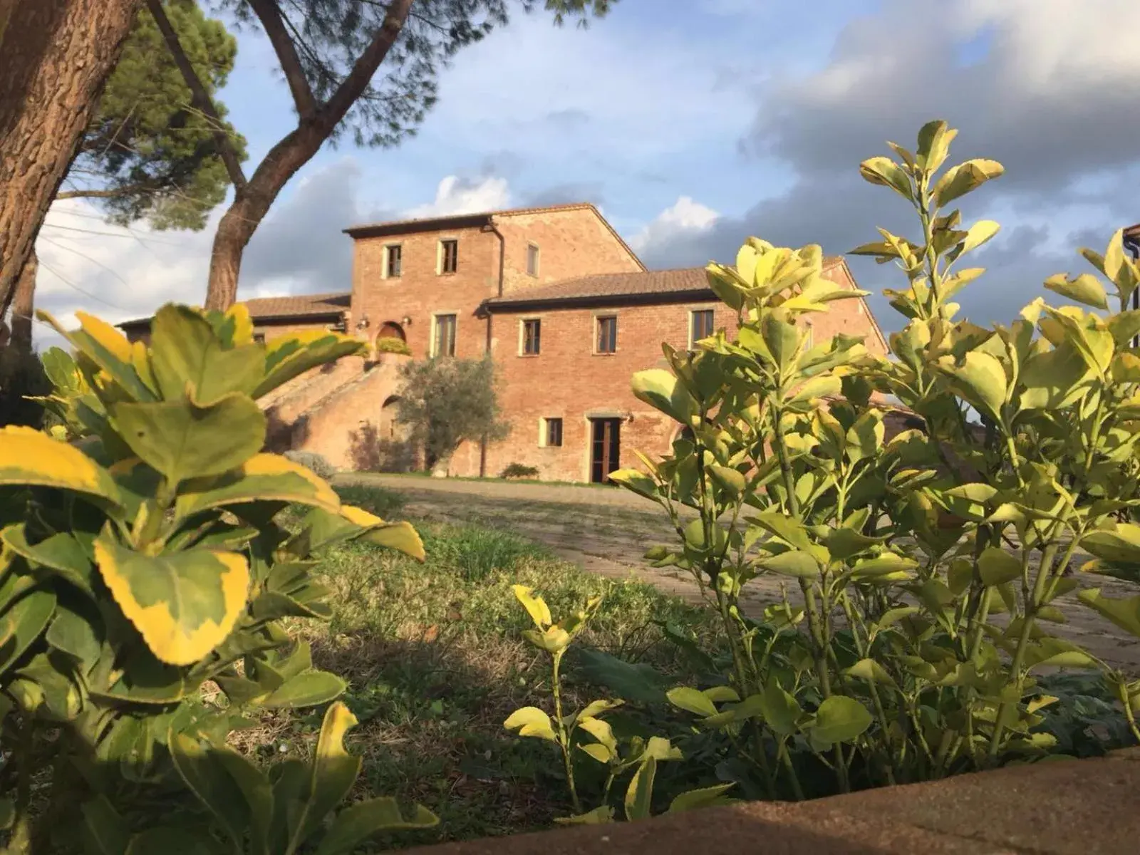 Podere La Ceppa1 Podere La Ceppa1