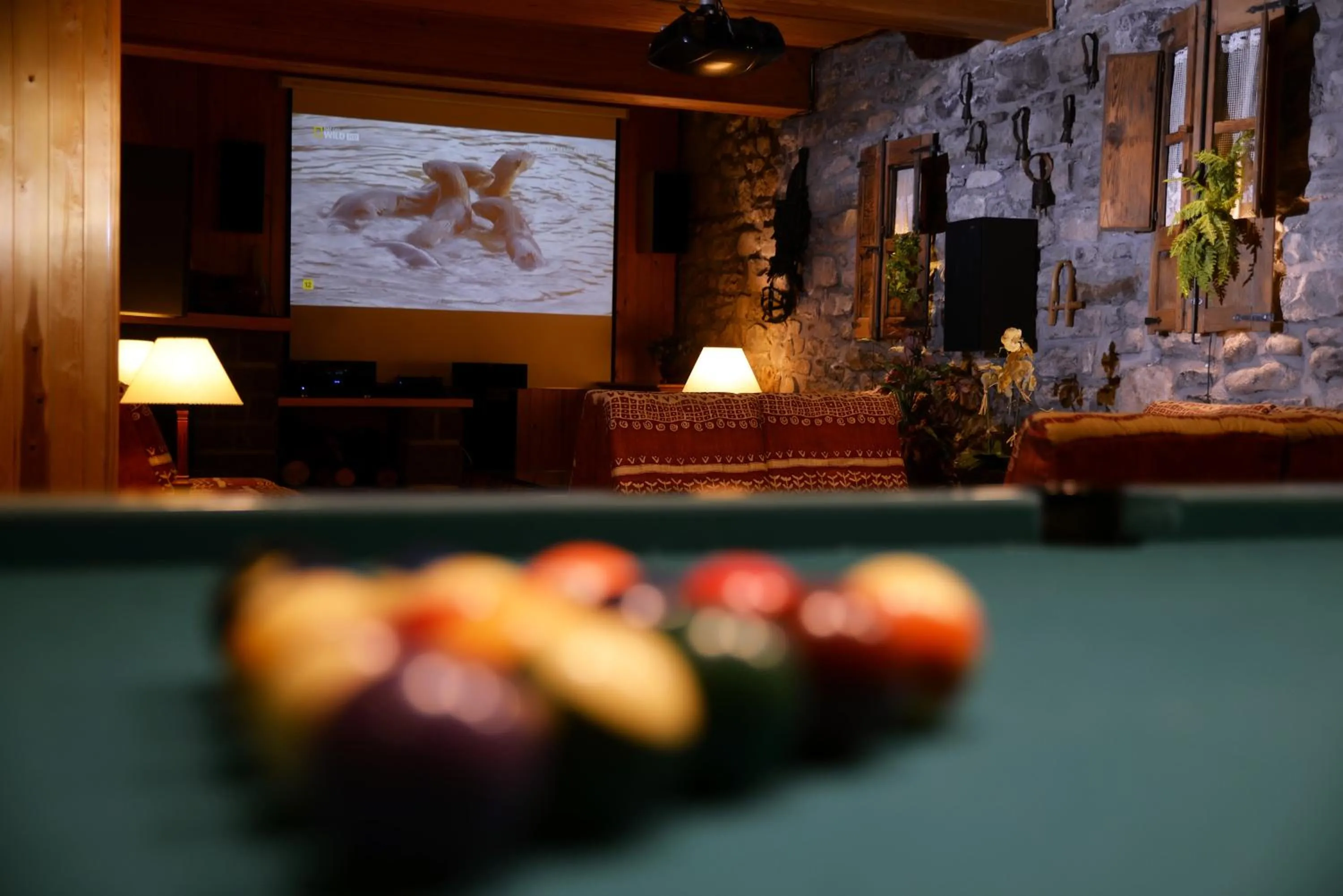 Communal lounge/ TV room in Hotel Pradas Ordesa