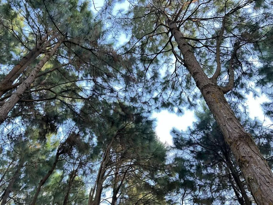 Day in Crosswinds Resort Quadrille Home