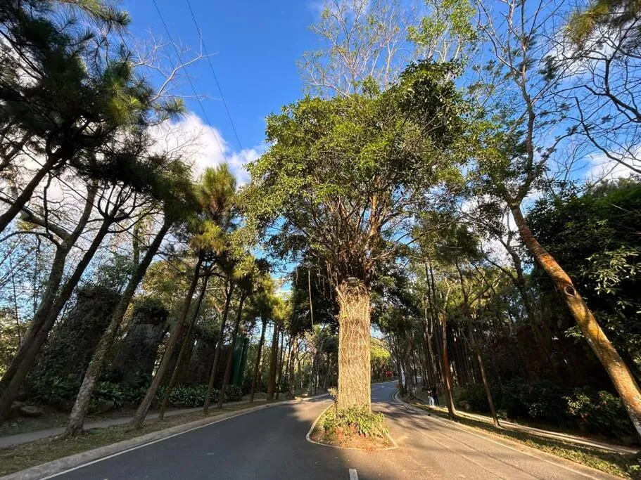 Day in Crosswinds Resort Quadrille Home