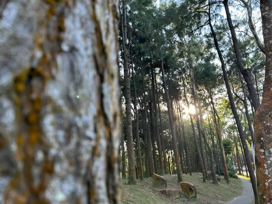 Day in Crosswinds Resort Quadrille Home