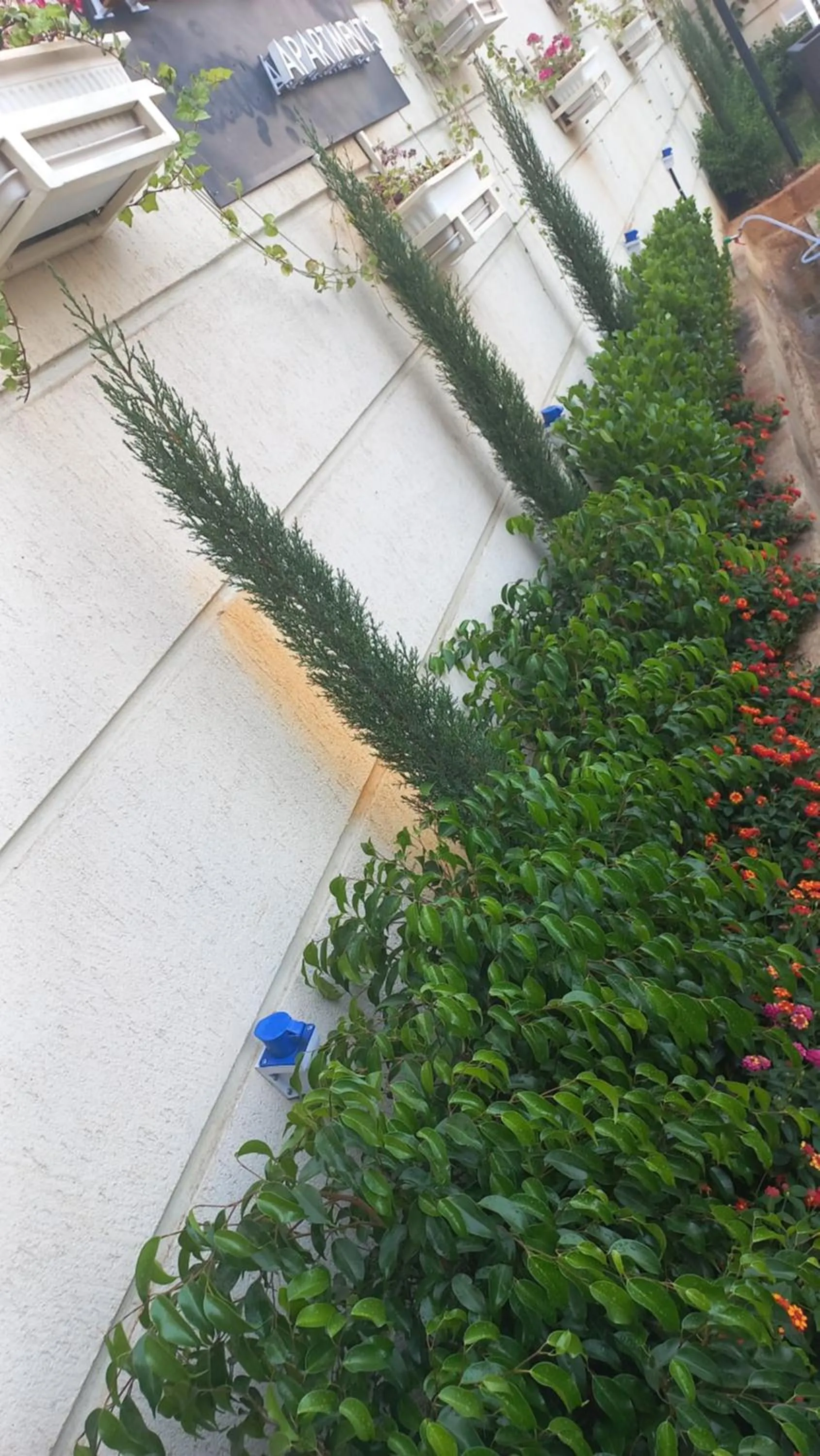 Garden in Addis Ville Hotel Apartment