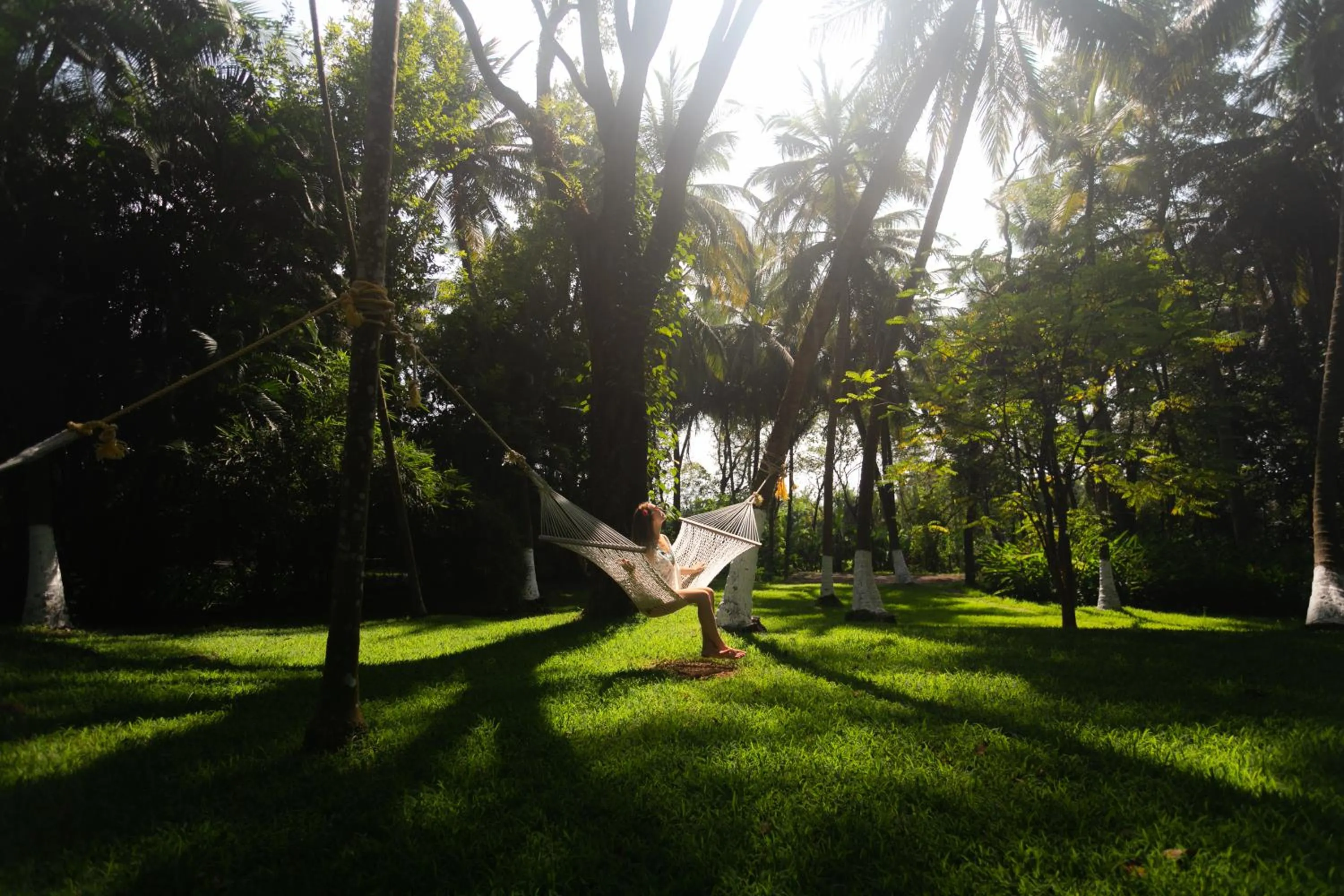 Garden view in Kairali - The Ayurvedic Healing Village