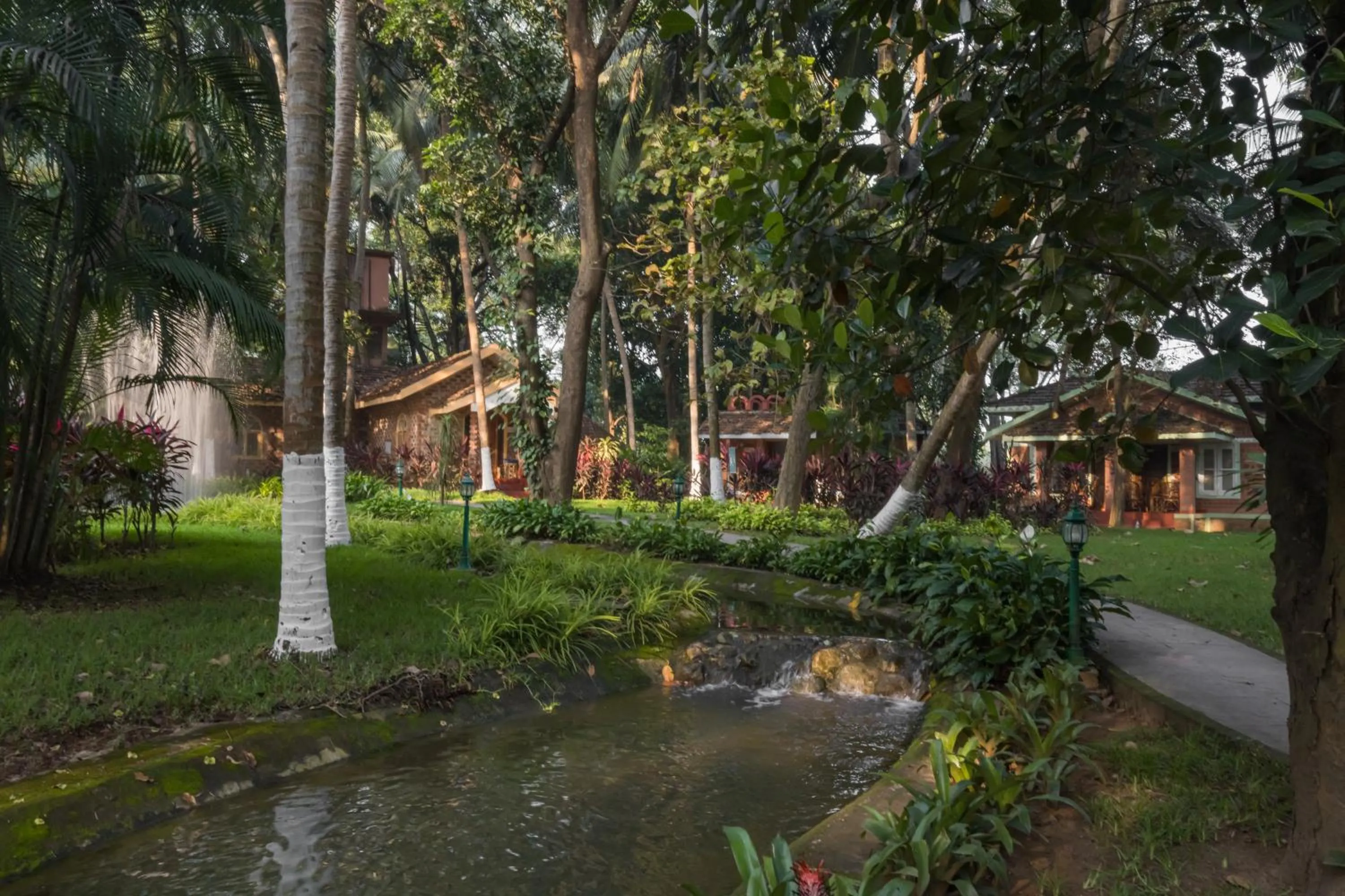 Garden in Kairali - The Ayurvedic Healing Village