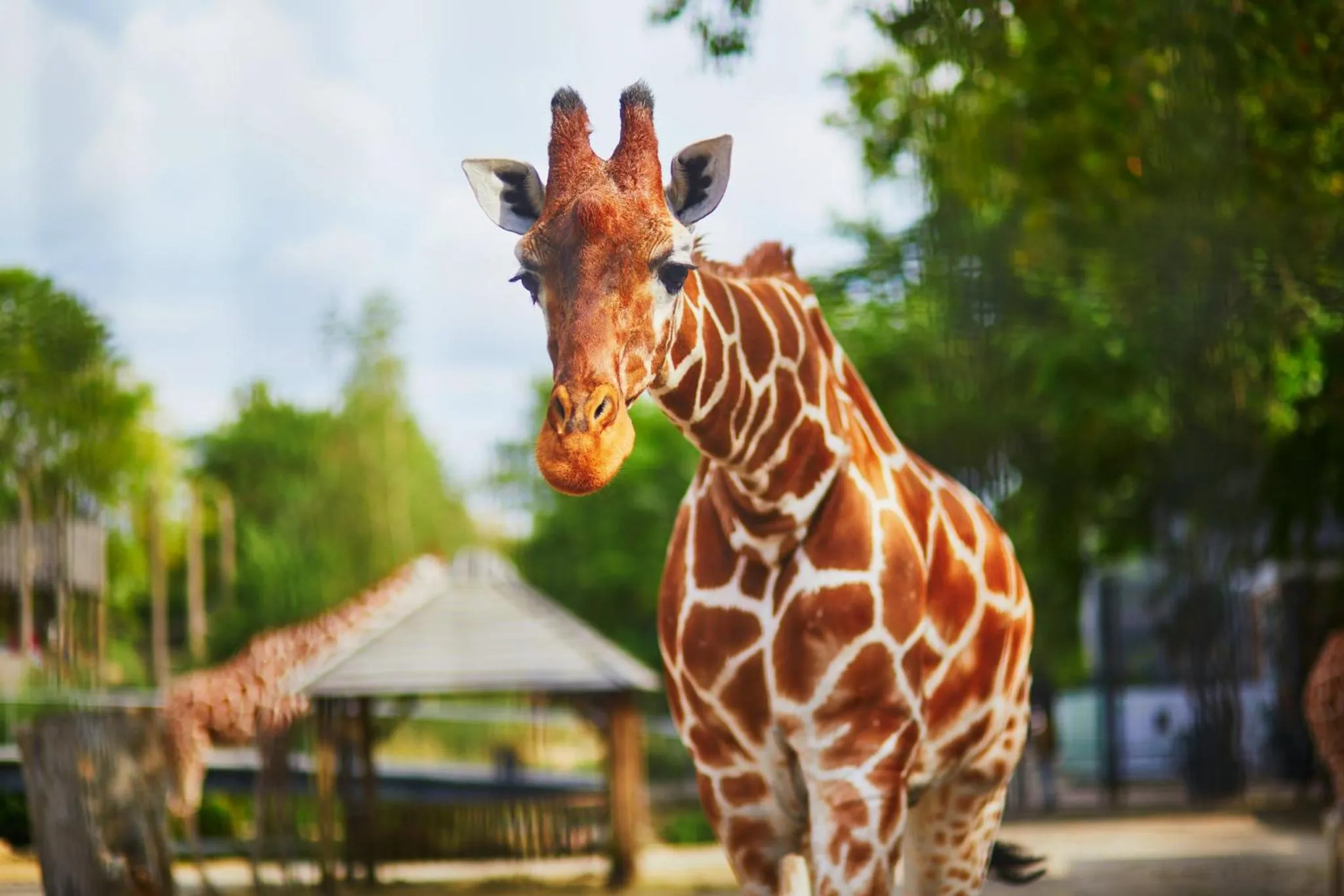 Nearby landmark in Holiday Inn Express Chattanooga - Hamilton Place