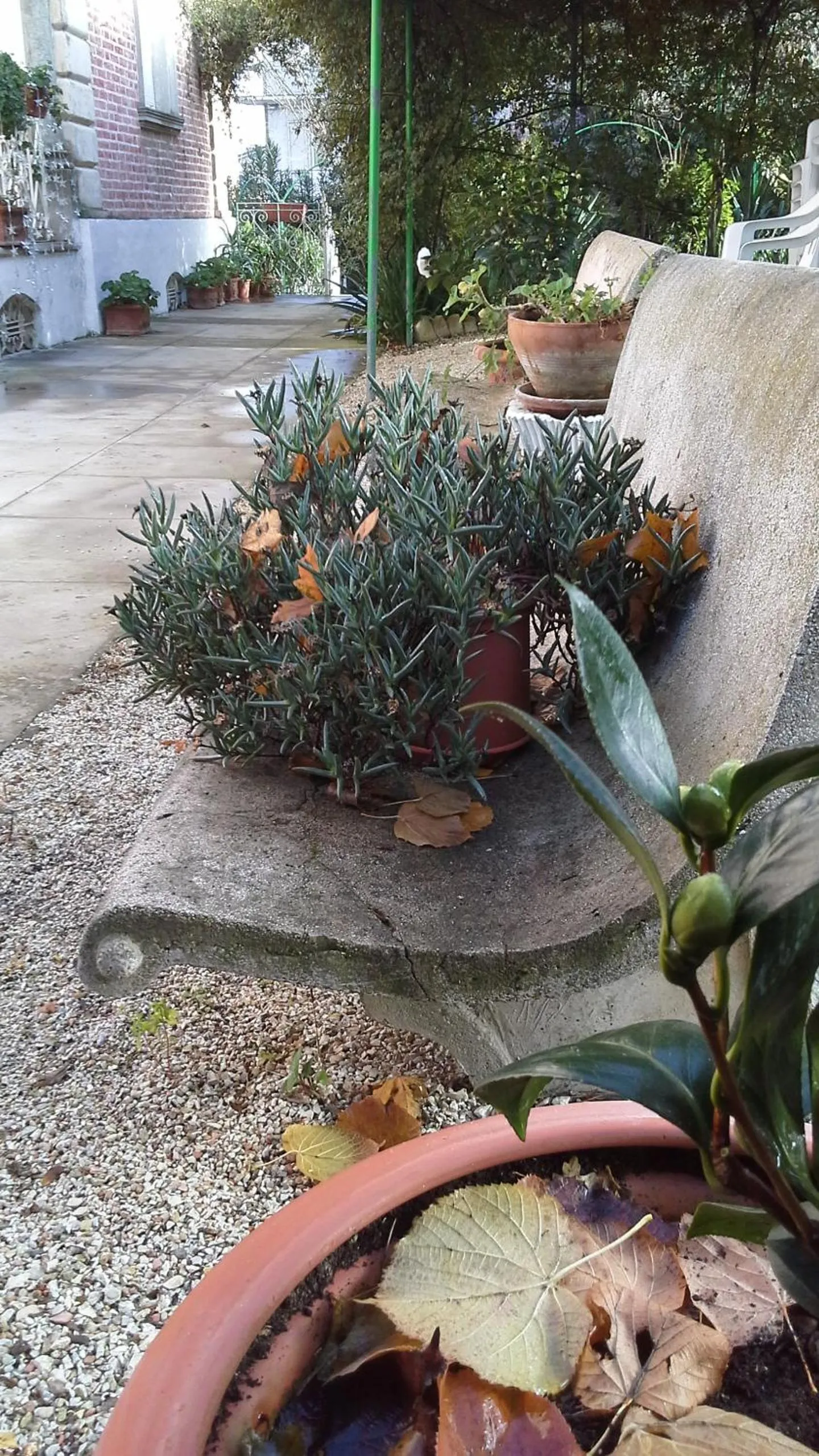 Villa Maria Bed & Breakfast, Corridonia, Marche