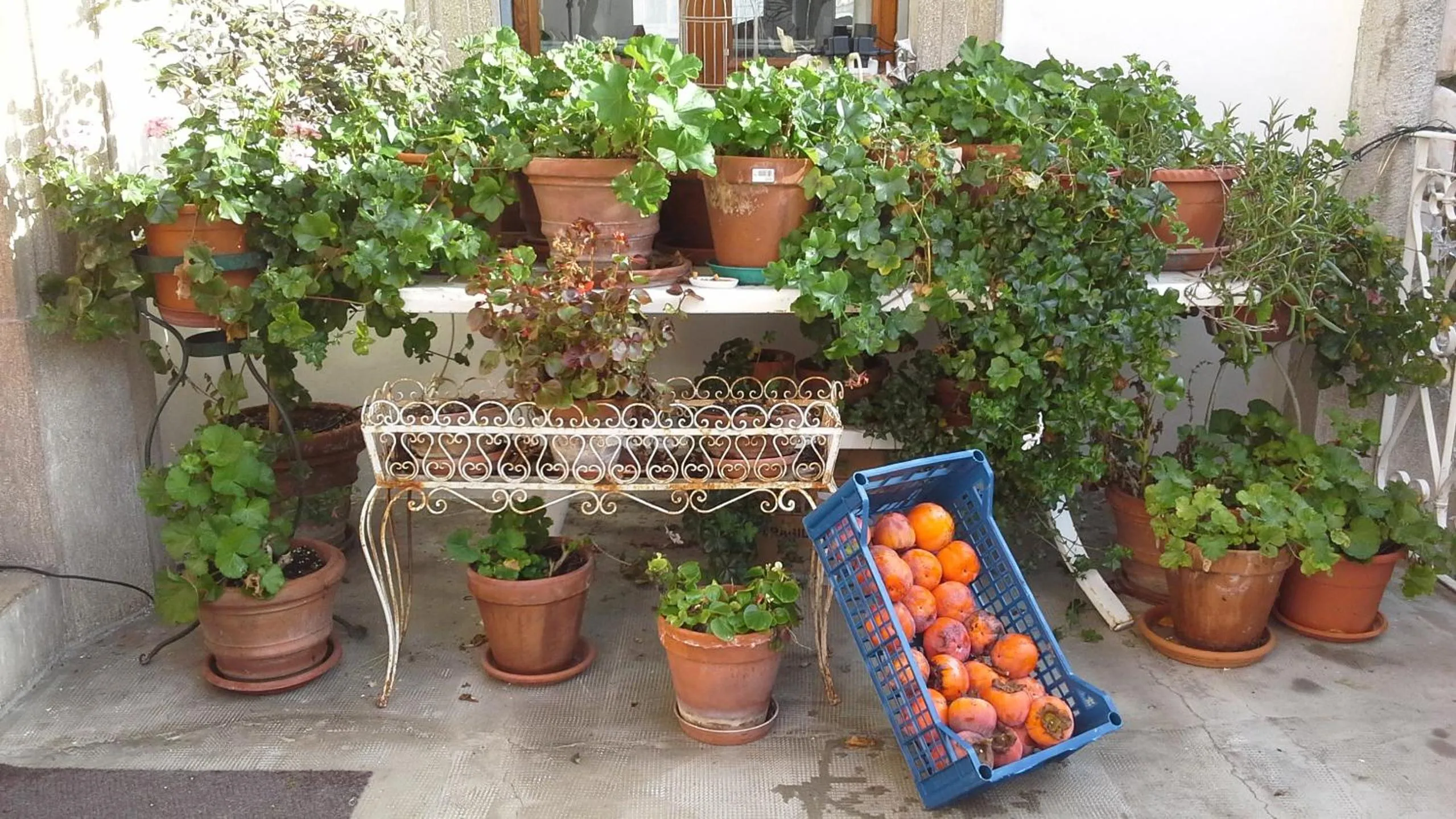 Villa Maria Bed & Breakfast, Corridonia, Marche