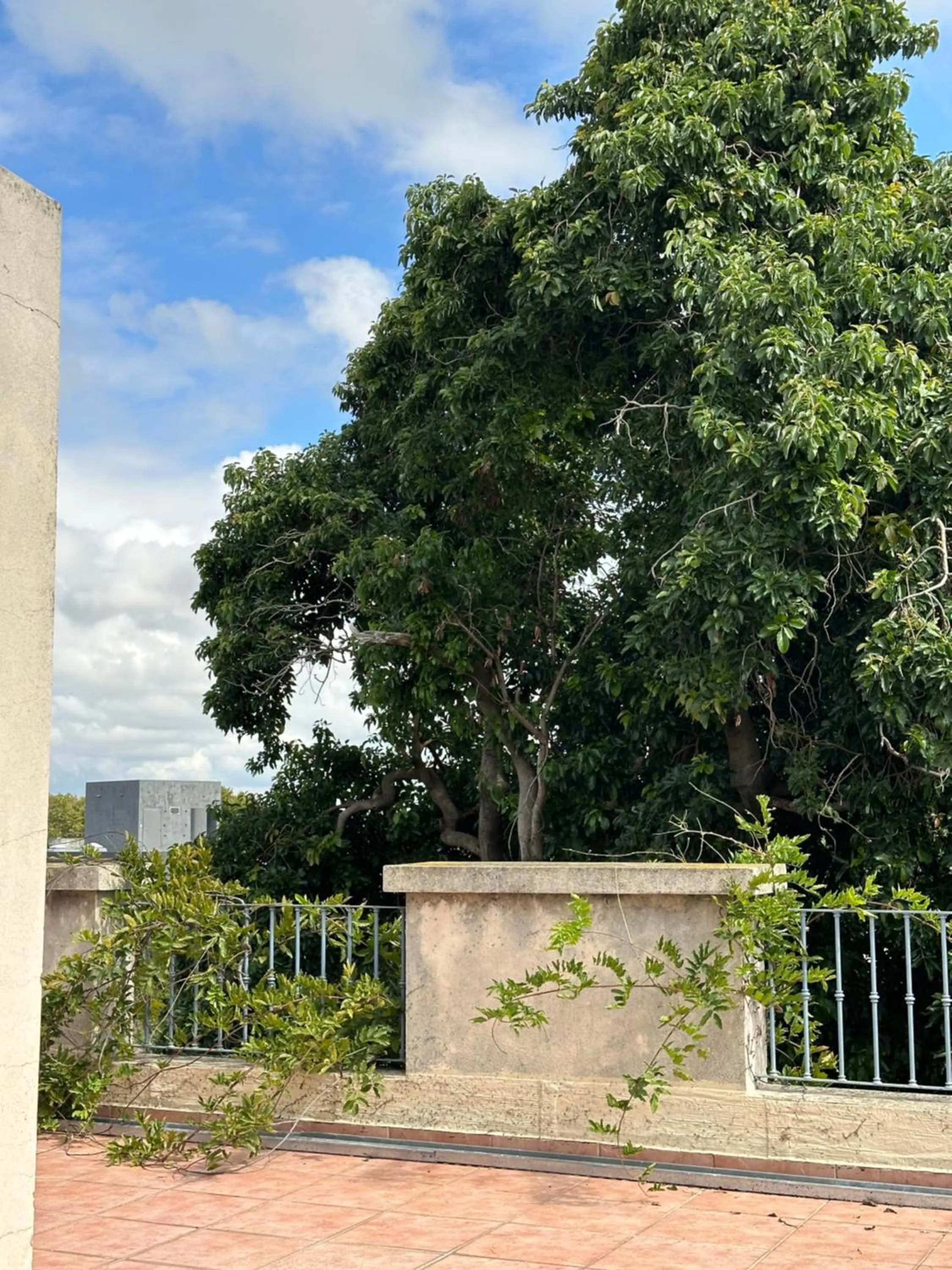 Posada de San Isidro