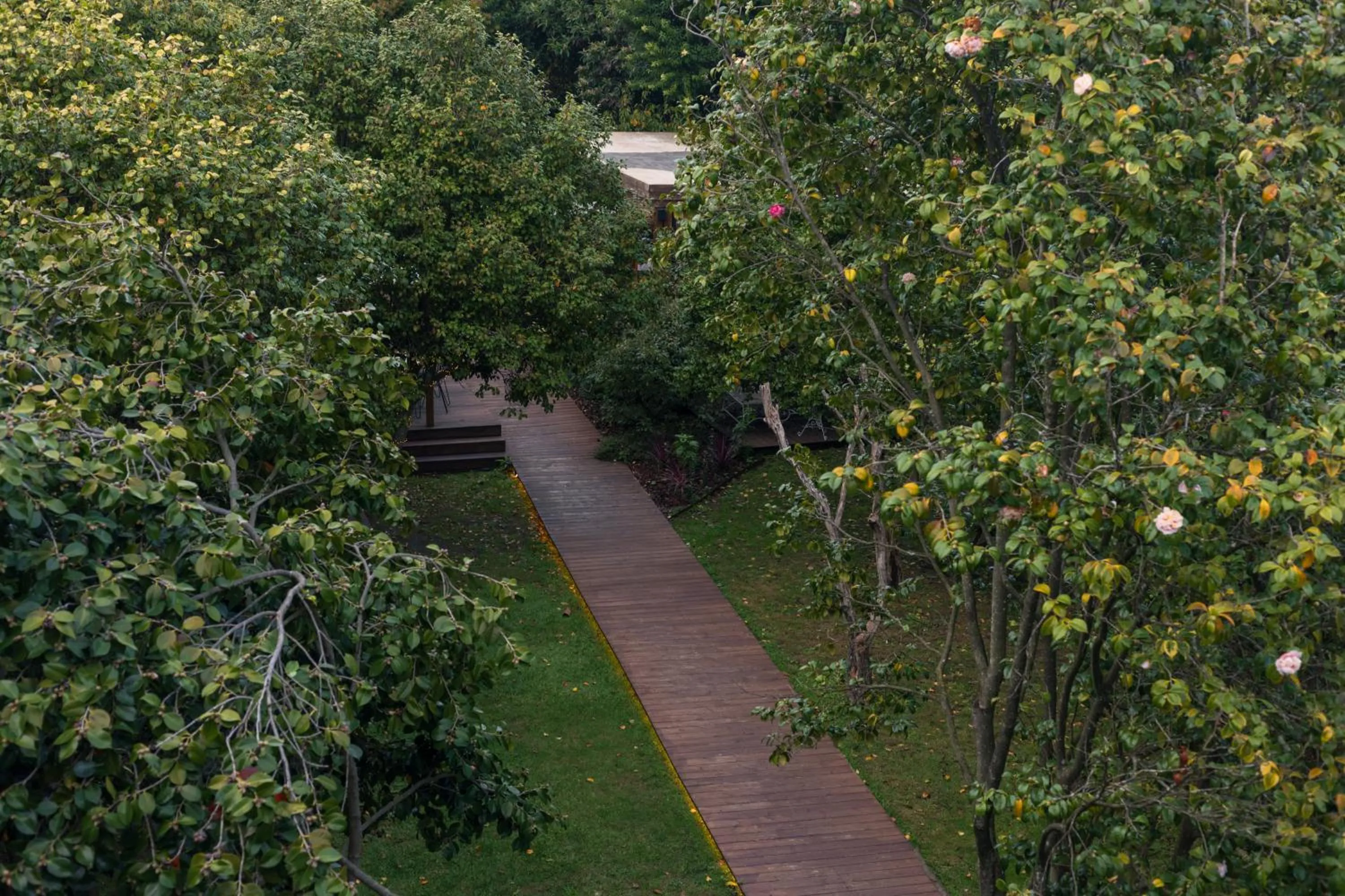 Garden in Oporto Loft