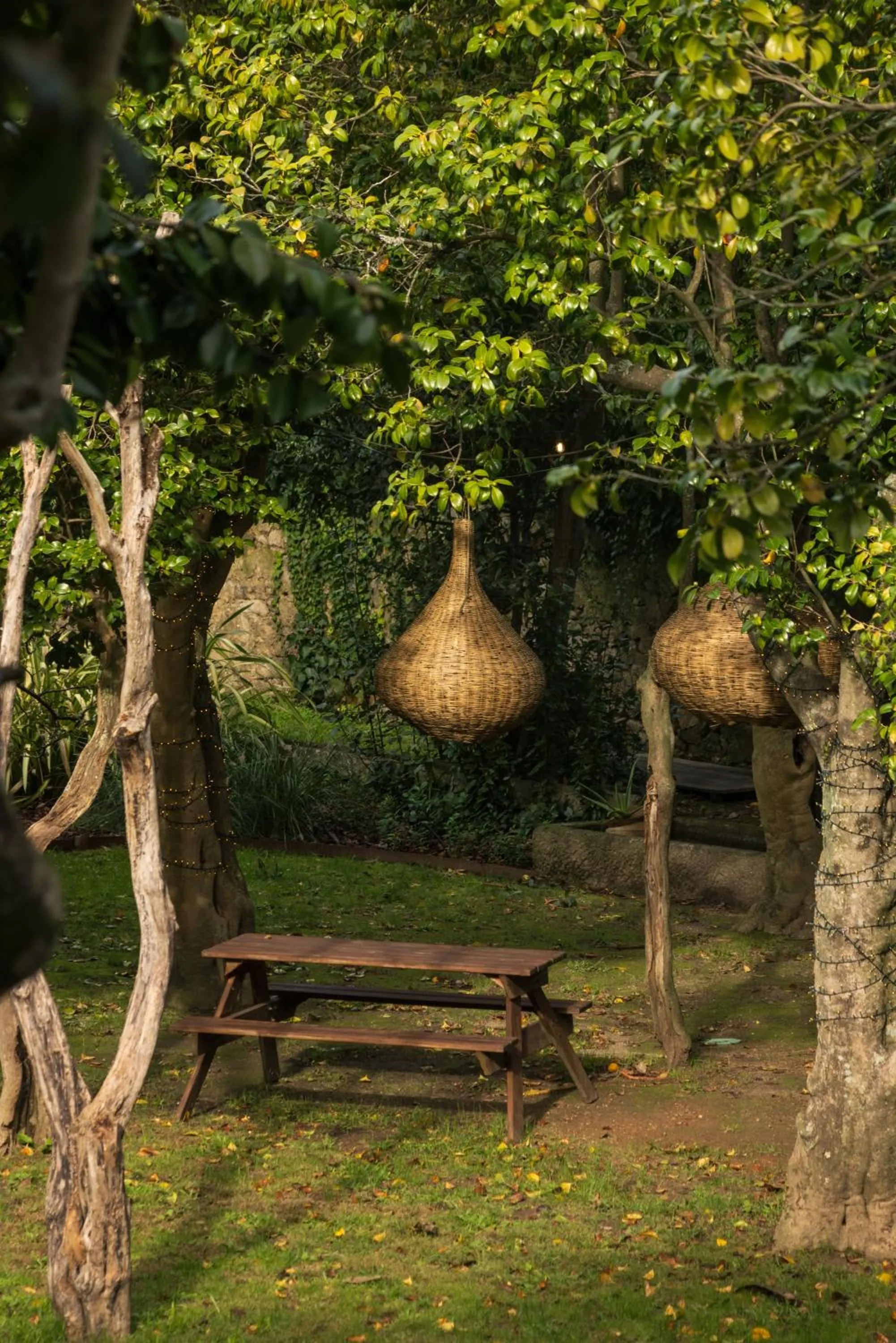 Garden view in Oporto Loft