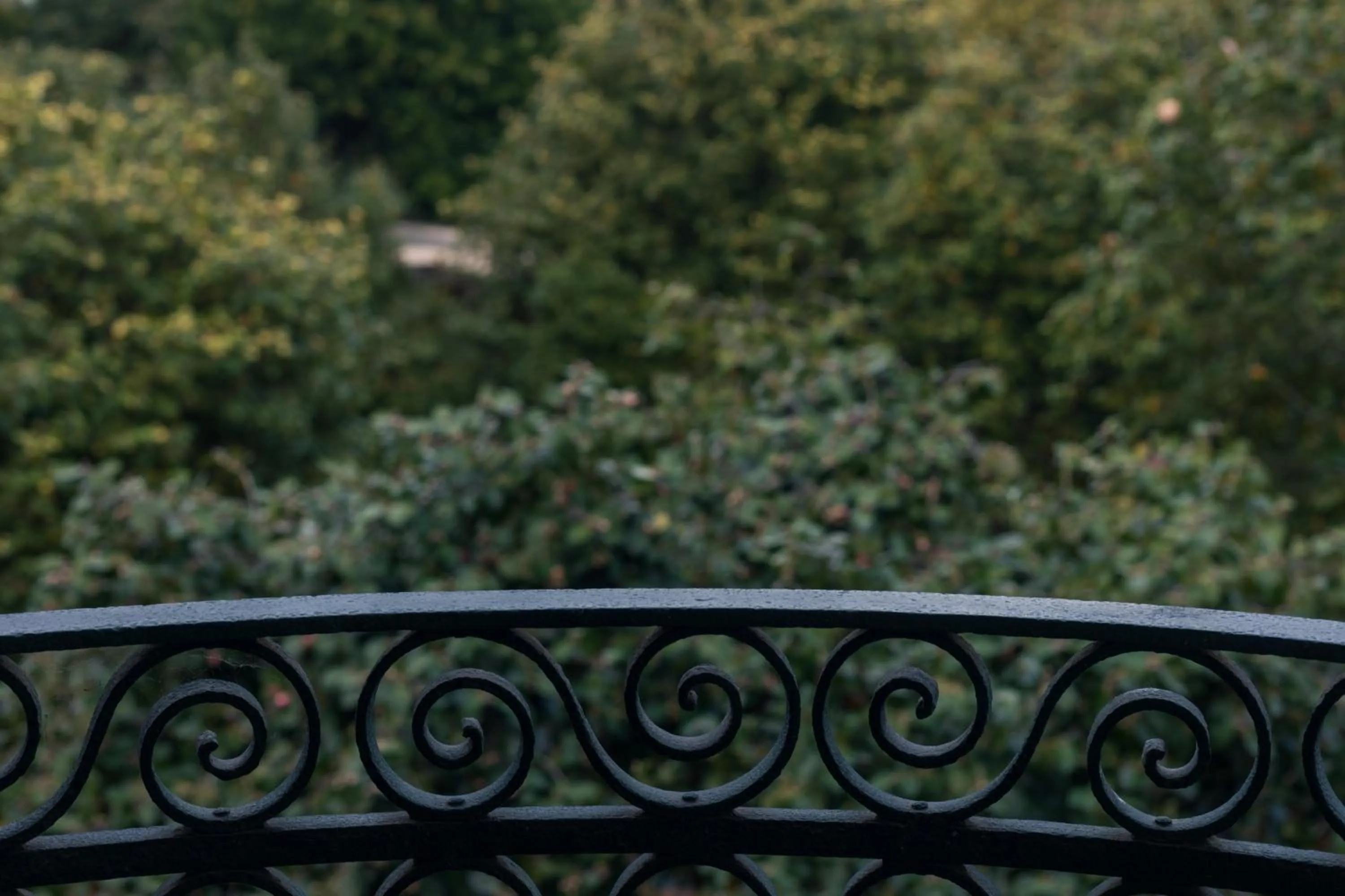 Garden in Oporto Loft