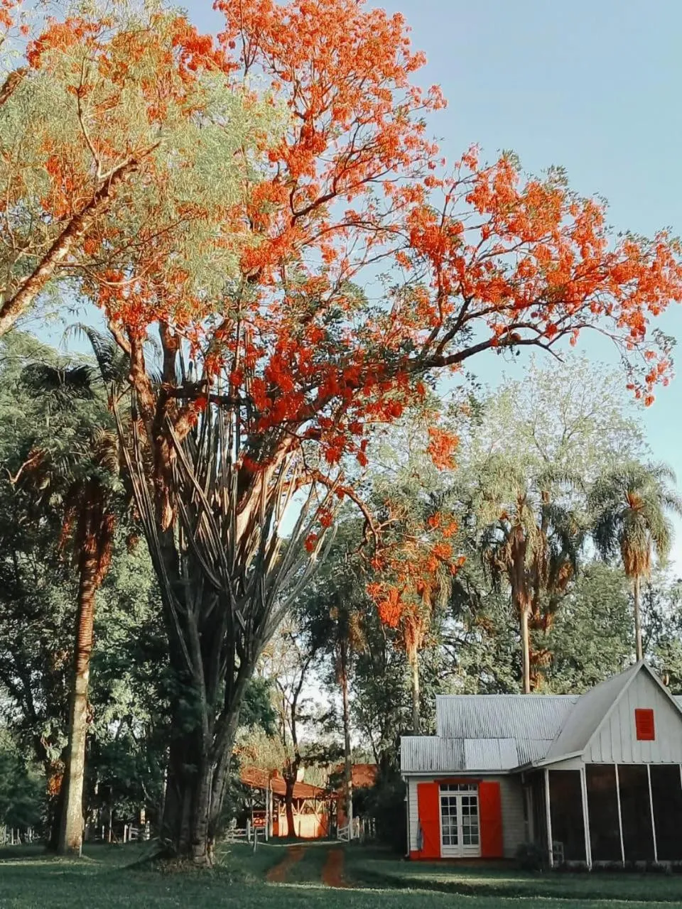Estancia Las Mercedes
