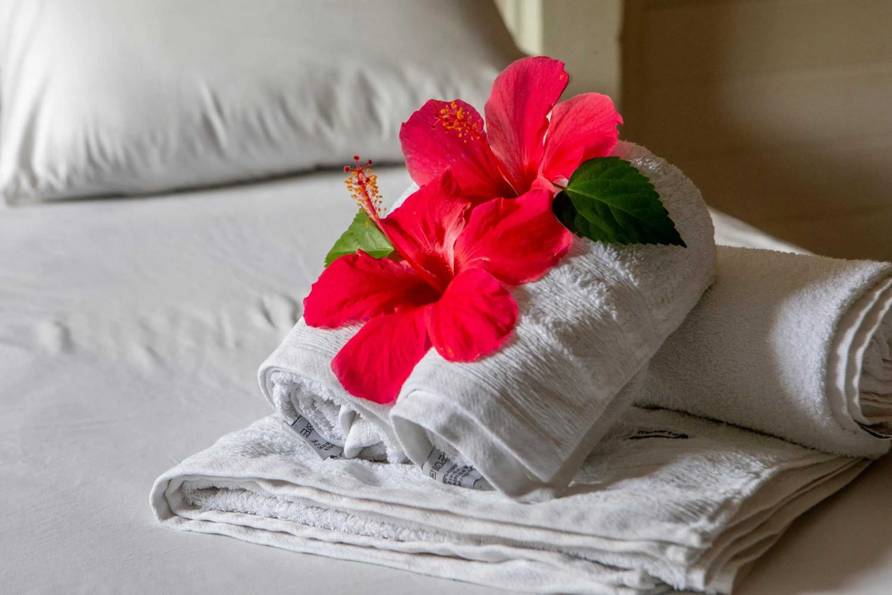 Photo of the whole room in Pousada Sol e Mar Noronha