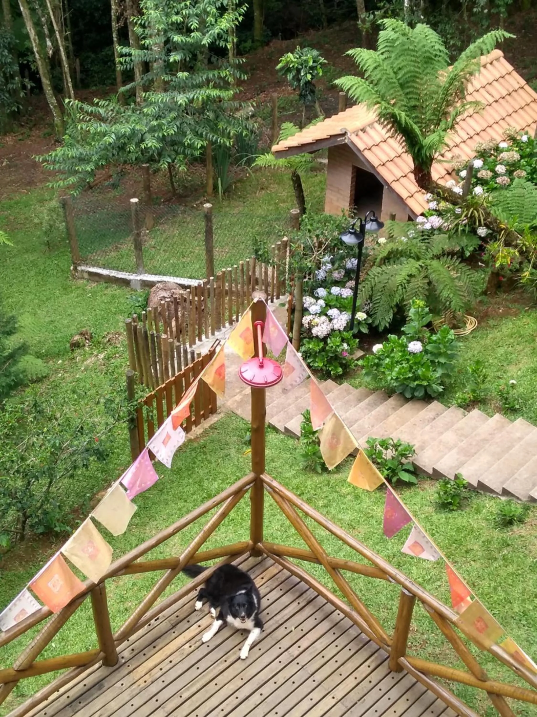 Pets in Nas Nuvens Hospedaria