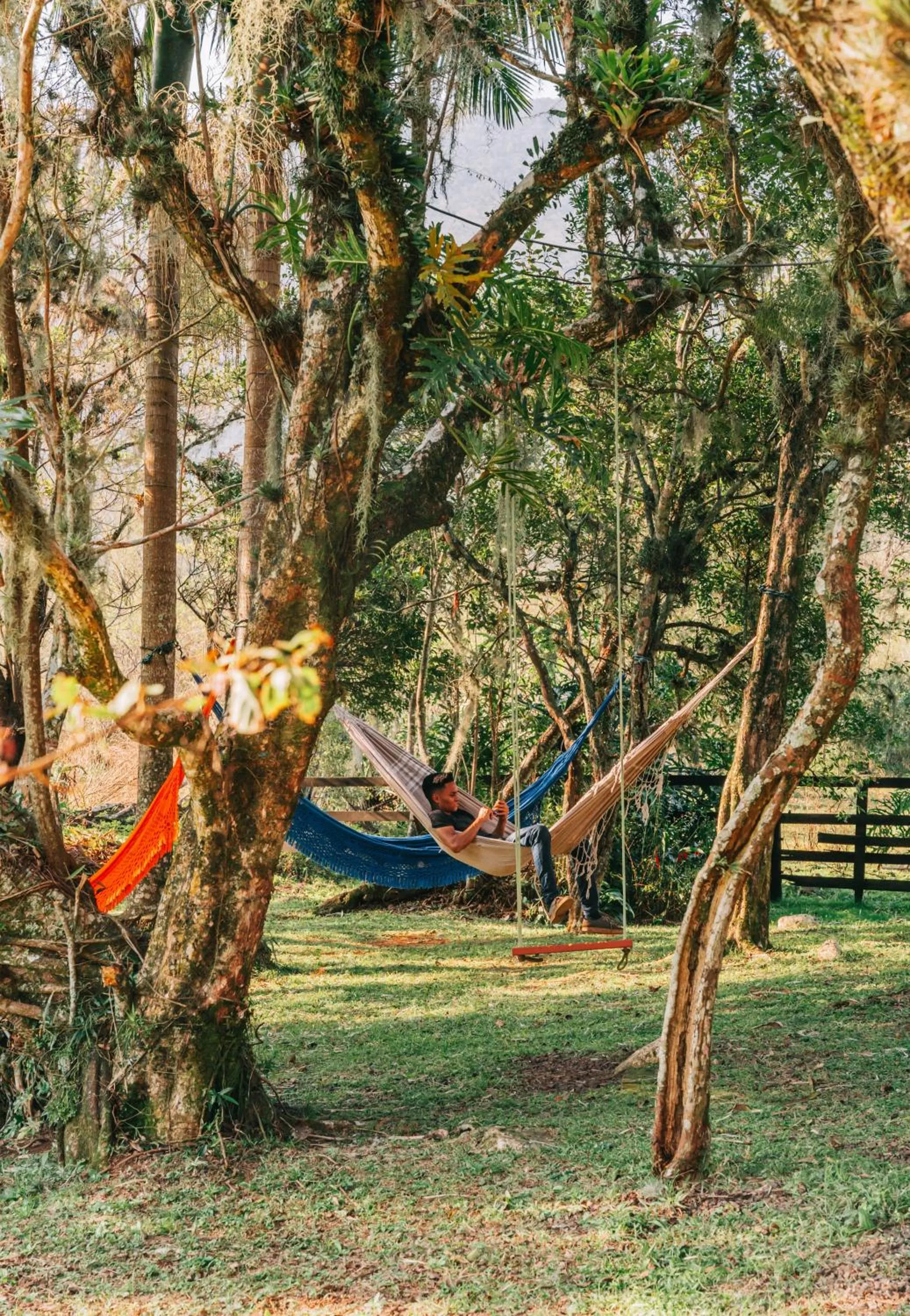 Garden in Chalés Pousada Malacara