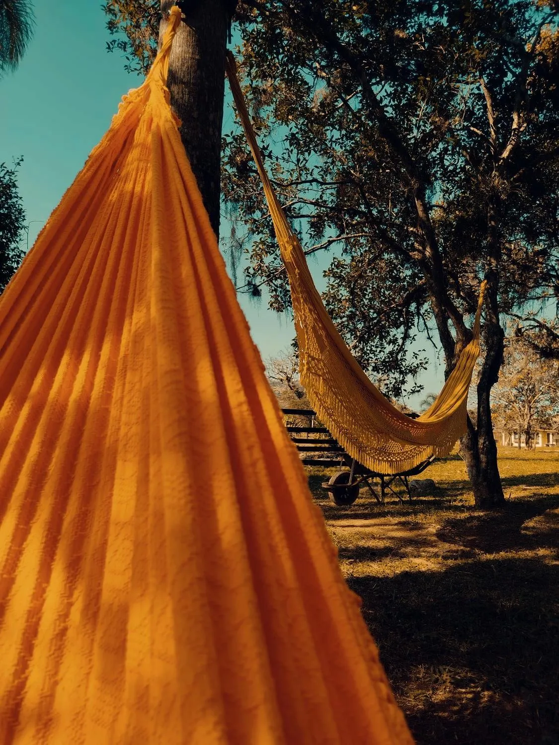 Garden in Chalés Pousada Malacara