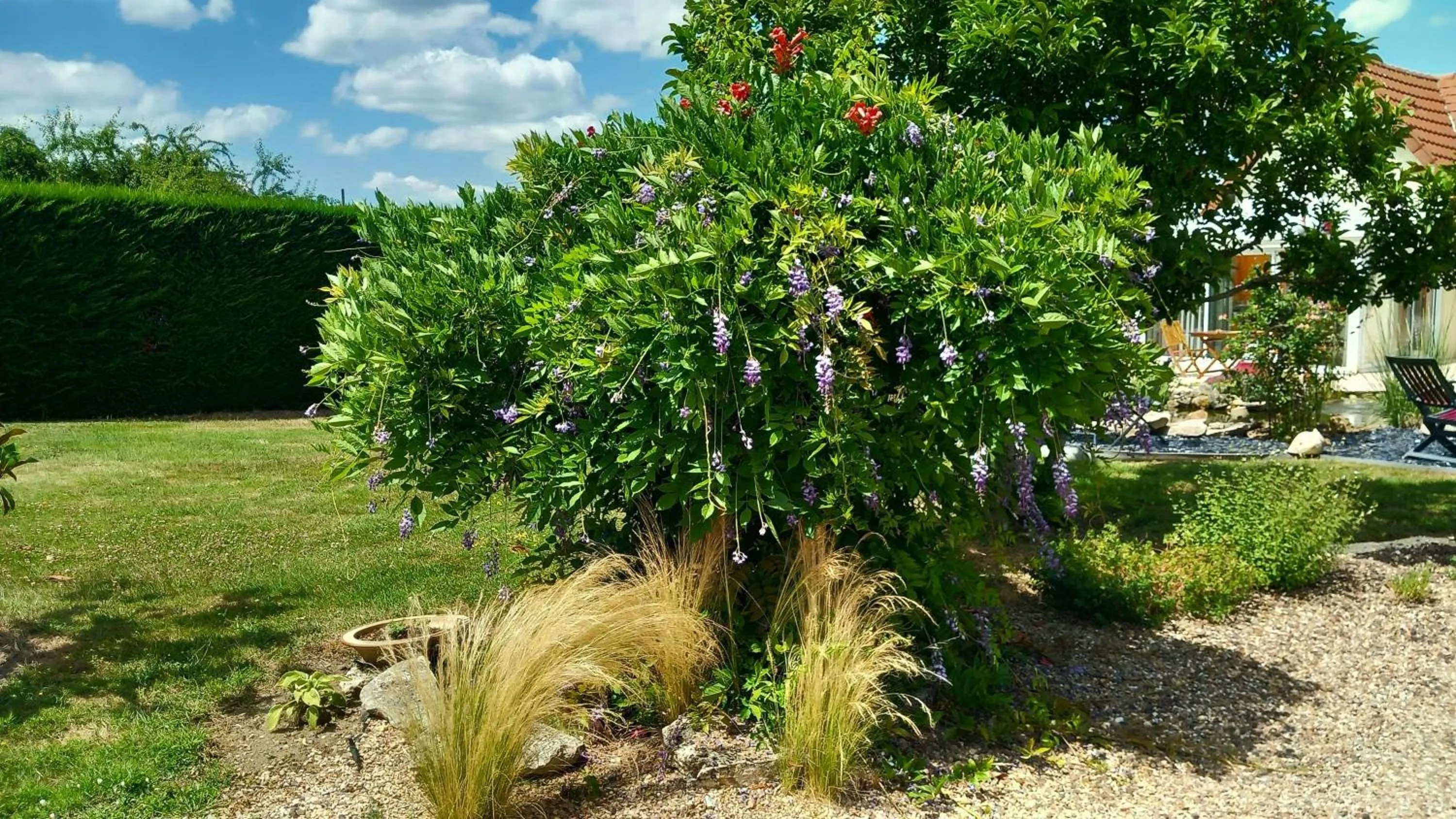 Spring in Chez Marie