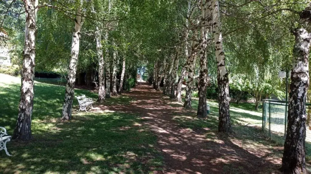 Rupu Pehuen Rupu Pehuen