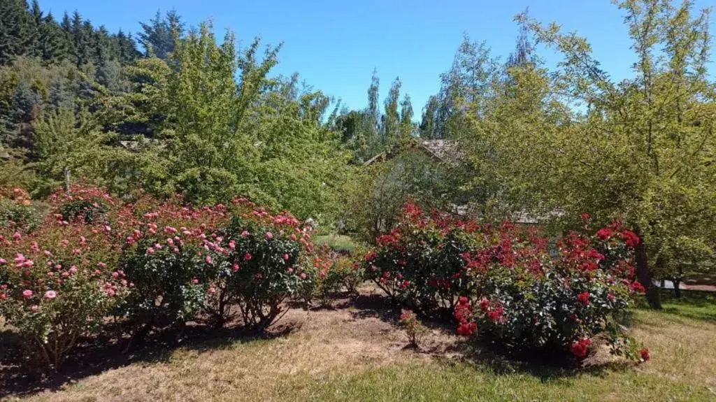 Family Room - single occupancy in Rupu Pehuen Family Room - single occupancy in Rupu Pehuen