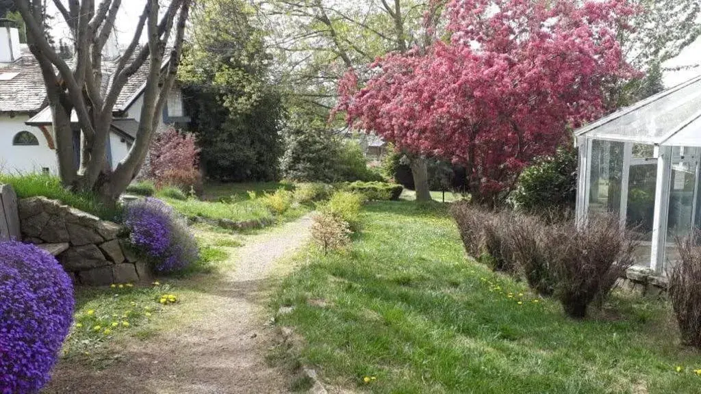 Rupu Pehuen Rupu Pehuen