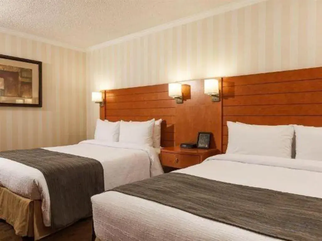 Bed in The Glenmore Inn & Convention Centre Bed in The Glenmore Inn & Convention Centre