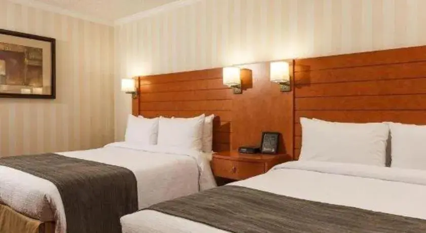 Bed in The Glenmore Inn & Convention Centre Bed in The Glenmore Inn & Convention Centre