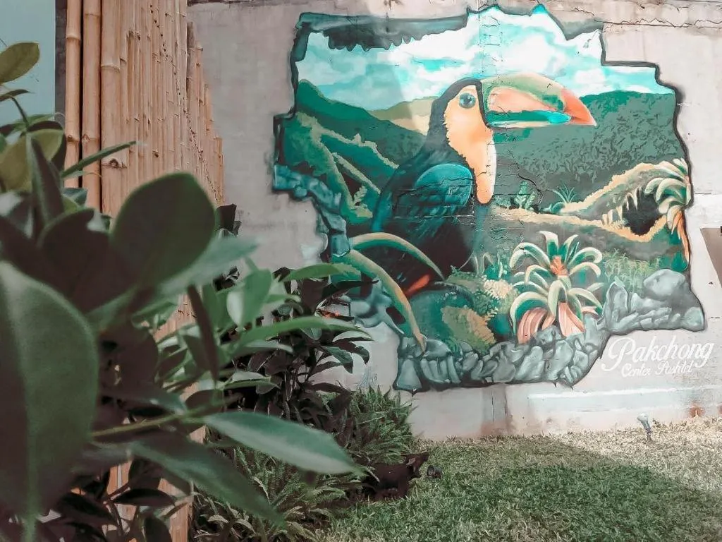 Pakchong Center Poshtel