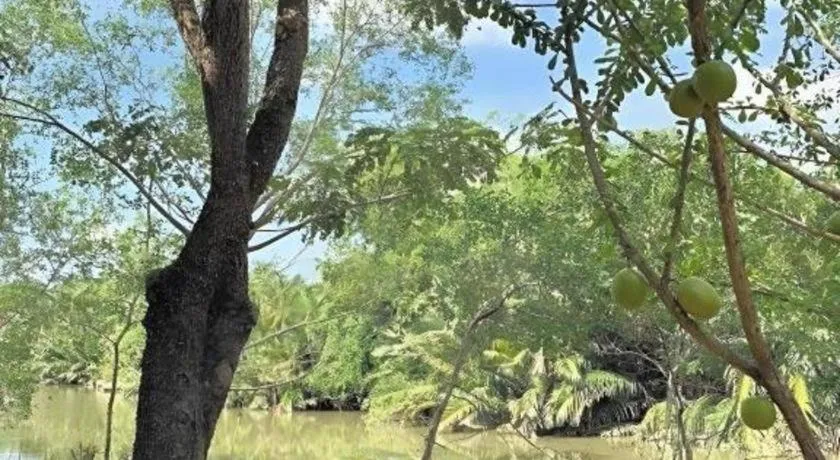 Lumphawa Amphawa Resort